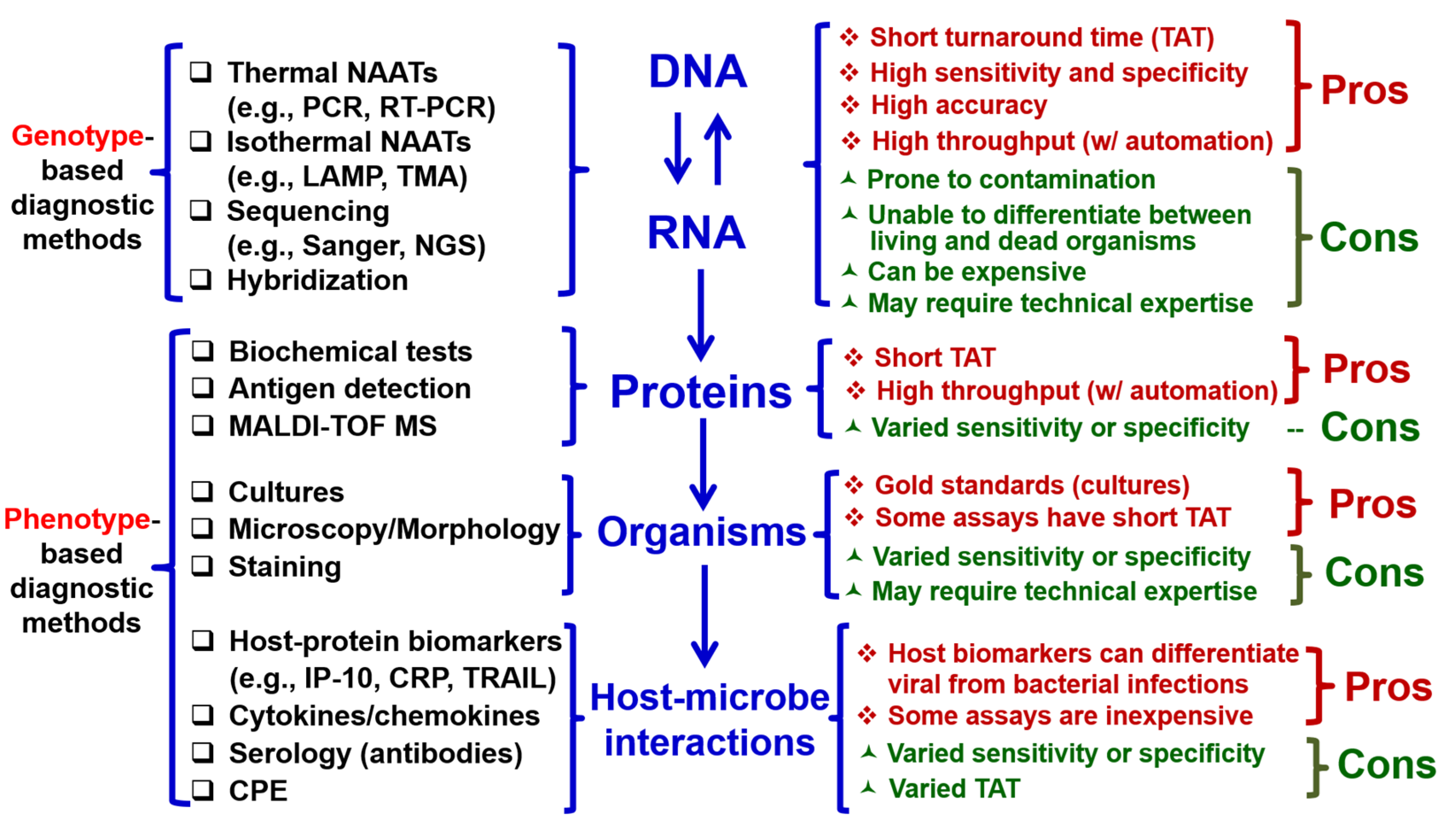 Pathogens 14 00262 g002