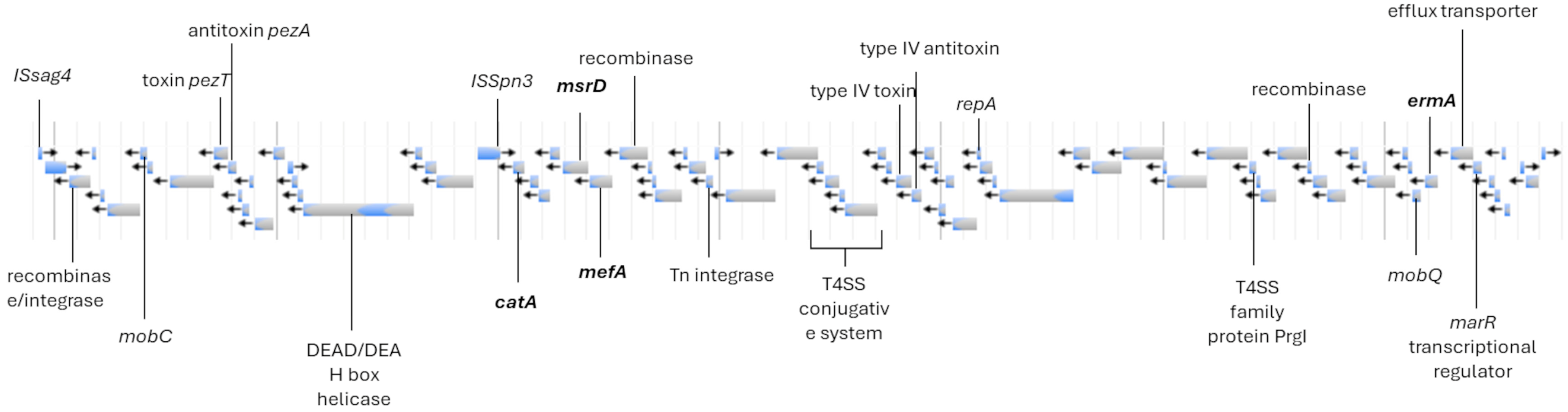 Pathogens 14 00292 g002