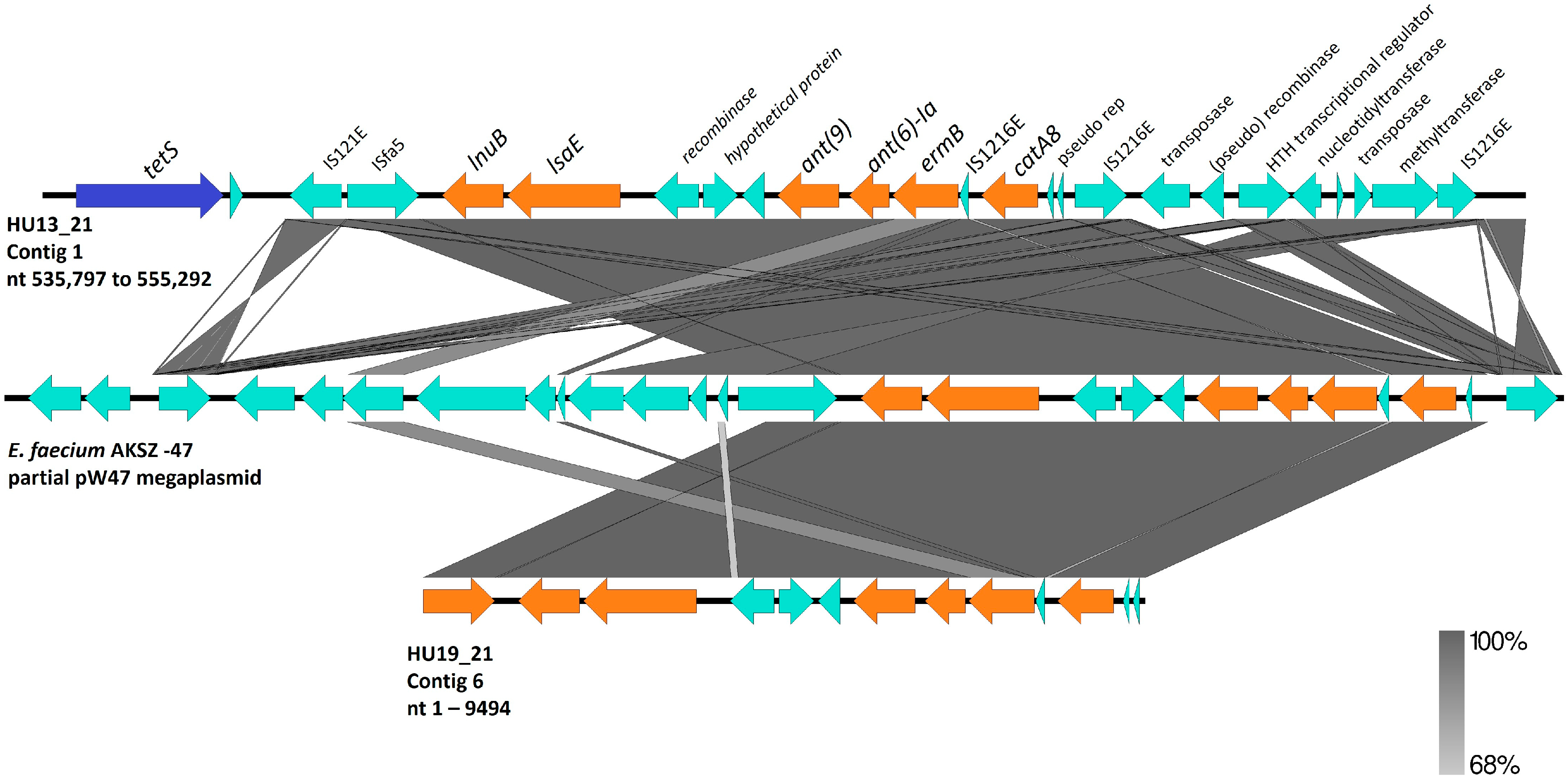 Pathogens 14 00292 g003
