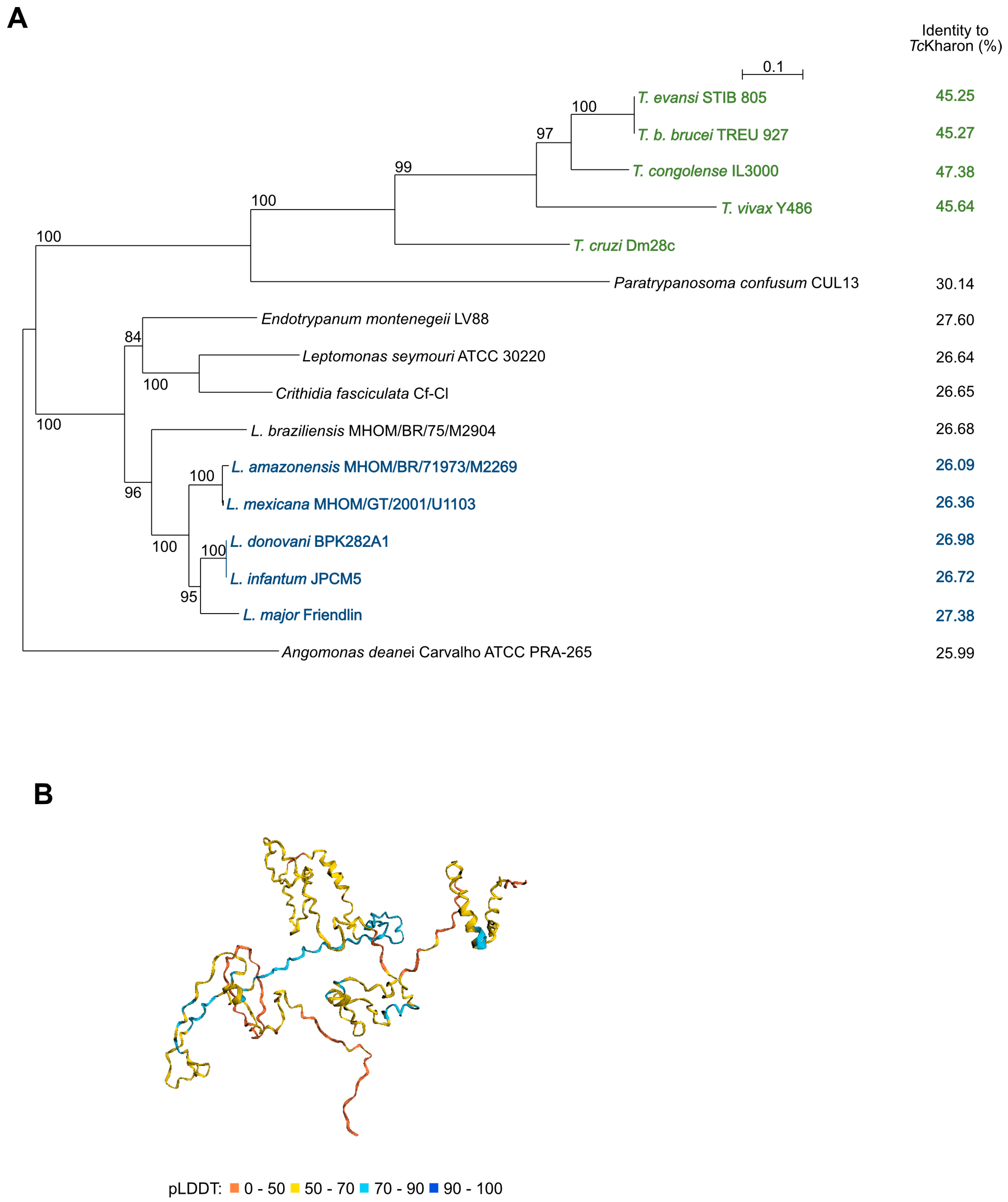 Pathogens 14 00312 g001