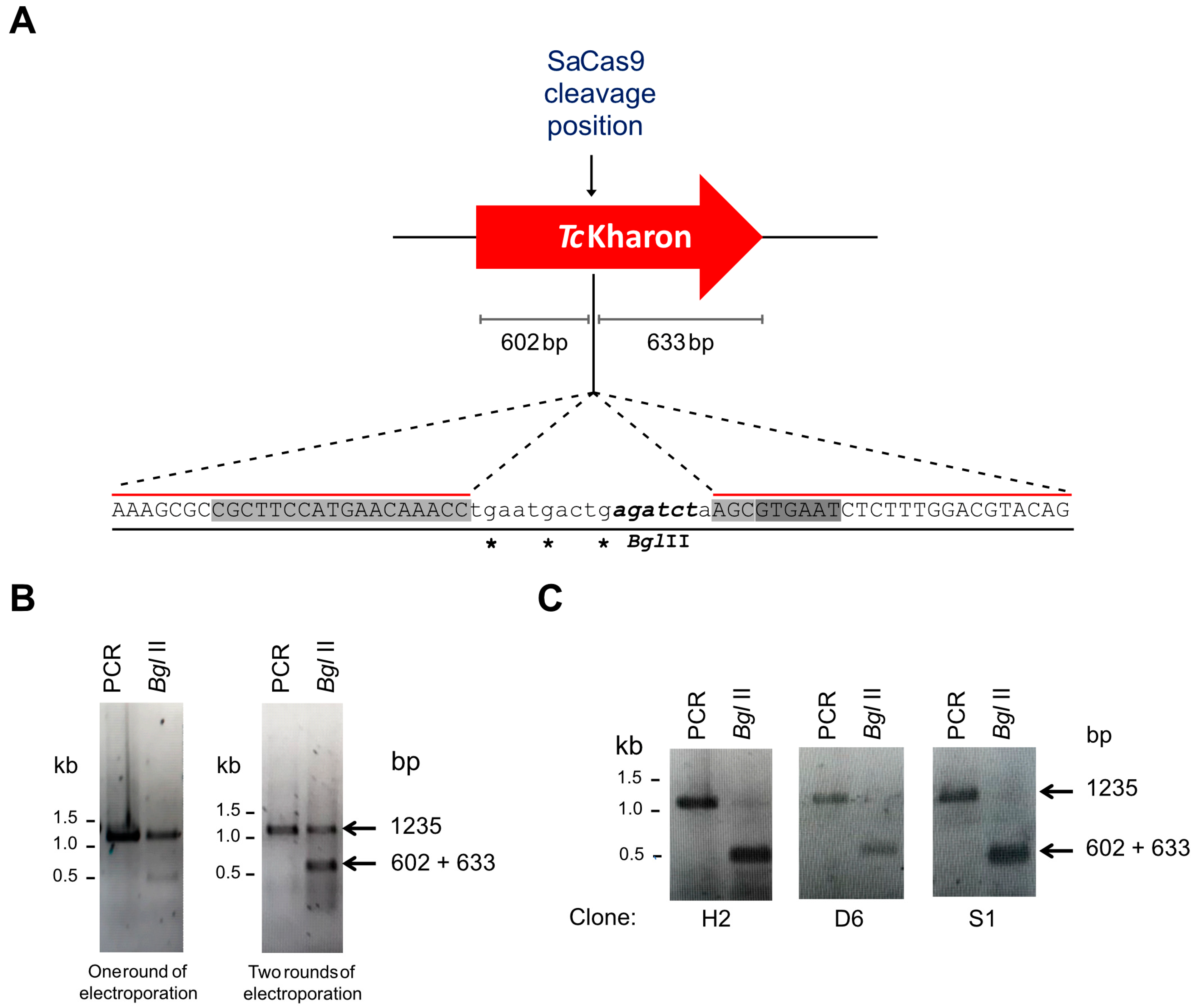 Pathogens 14 00312 g003