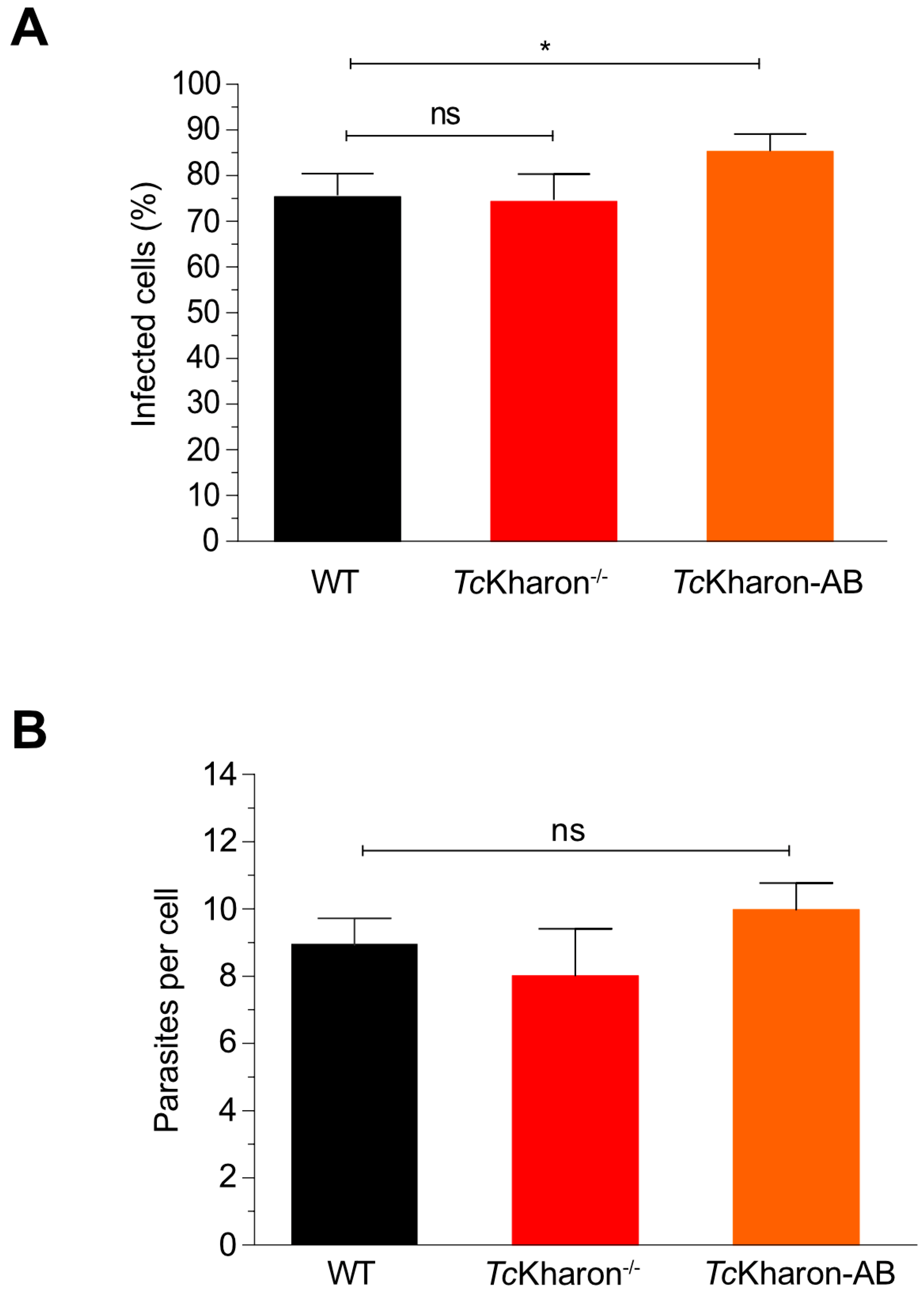 Pathogens 14 00312 g008
