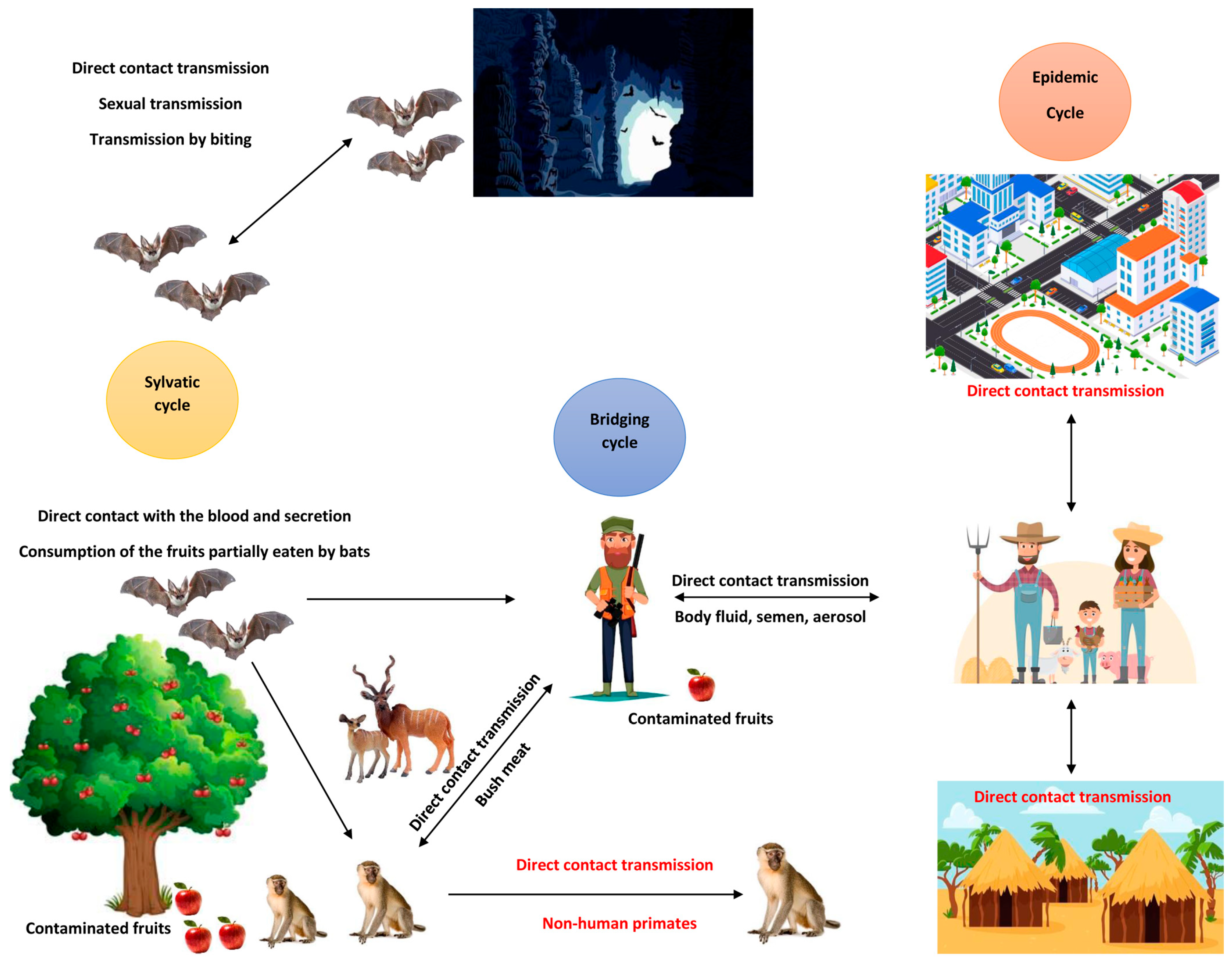 Pathogens 14 00322 g001