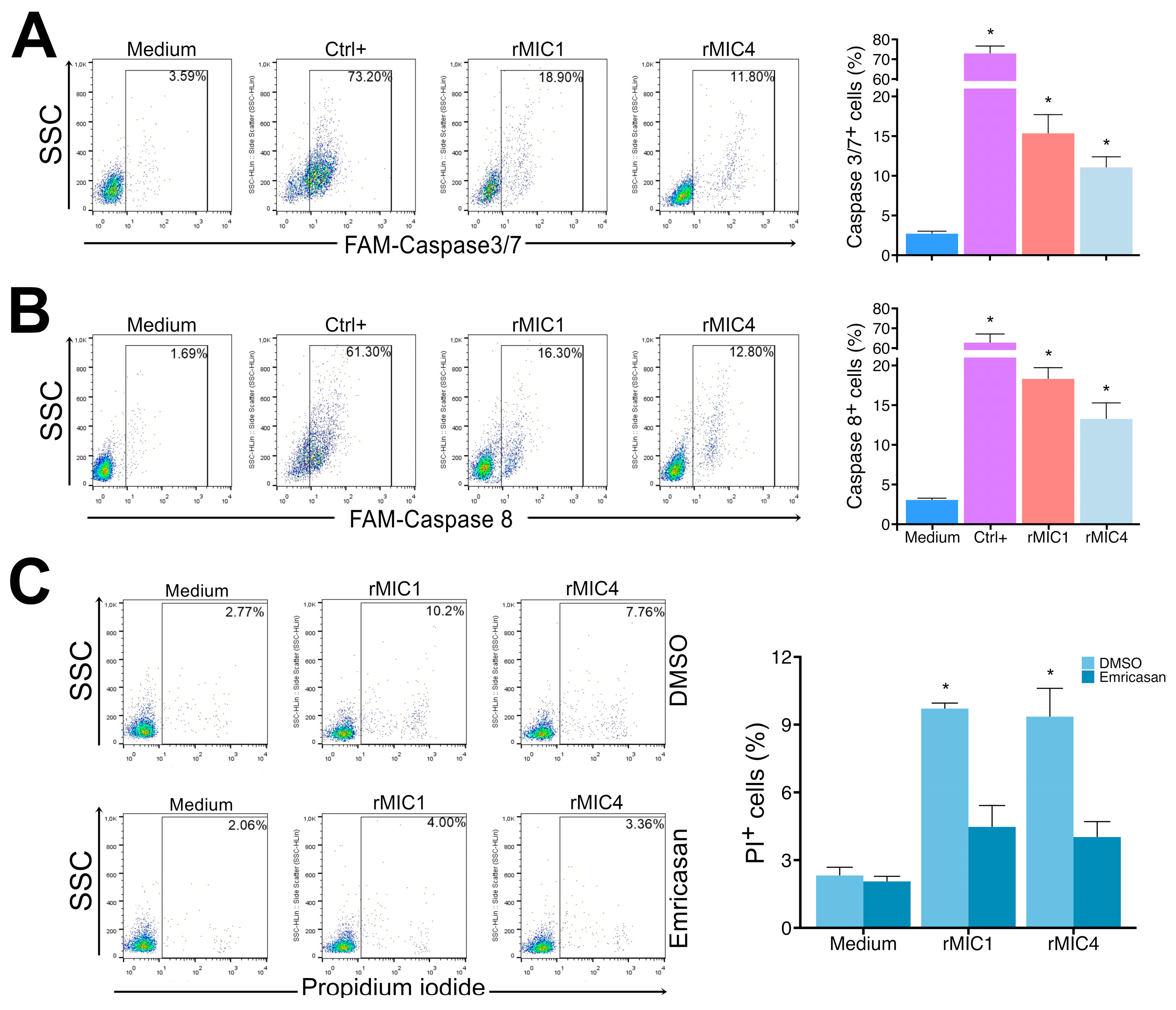 Pathogens 14 00372 g006