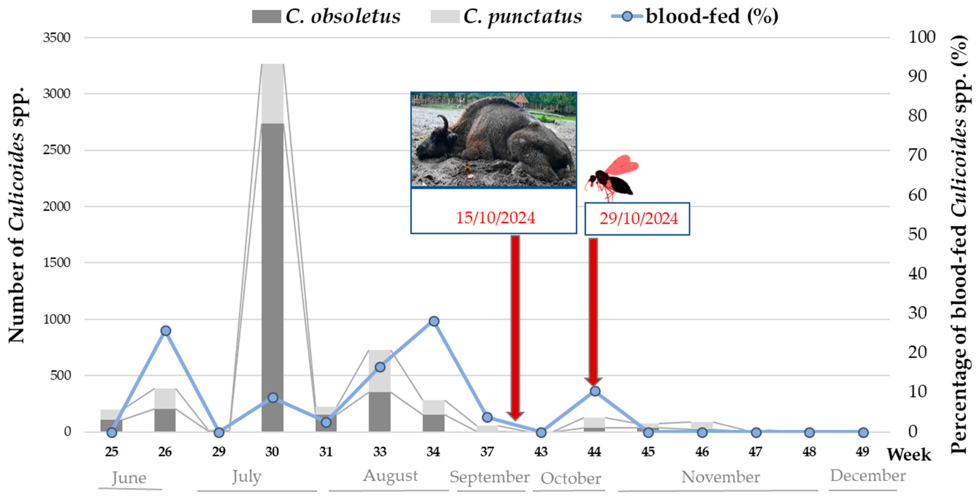 Pathogens 14 00377 g007