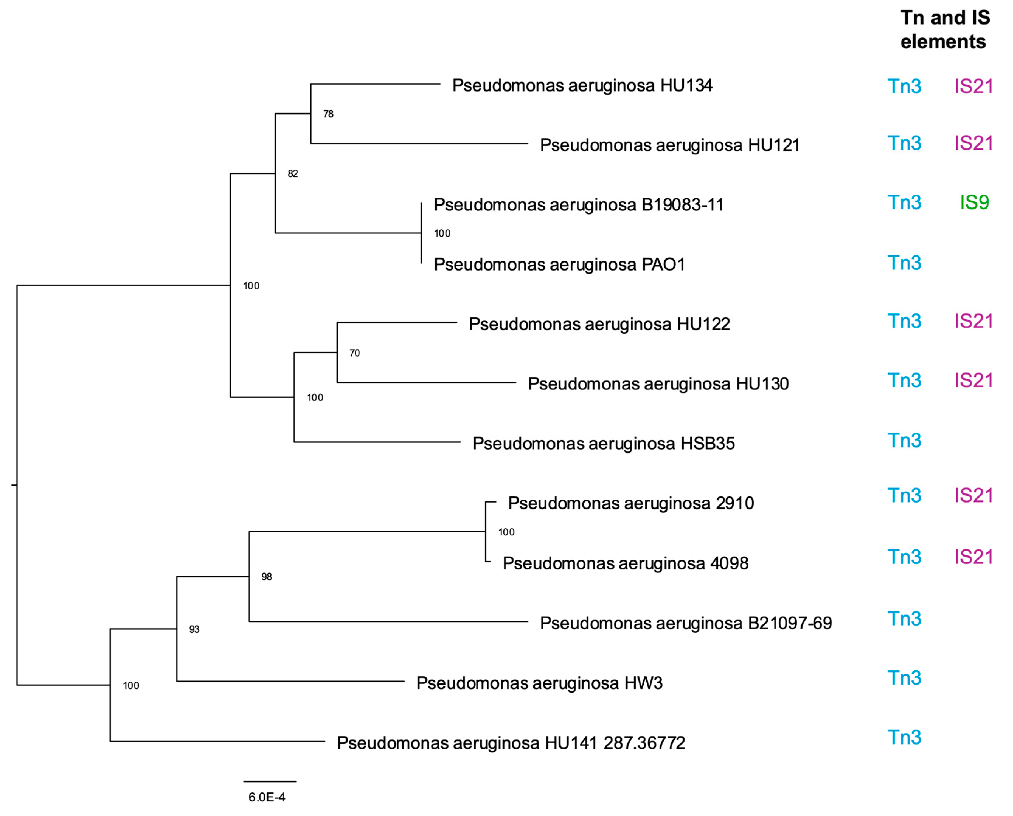 Pathogens 14 00387 g001