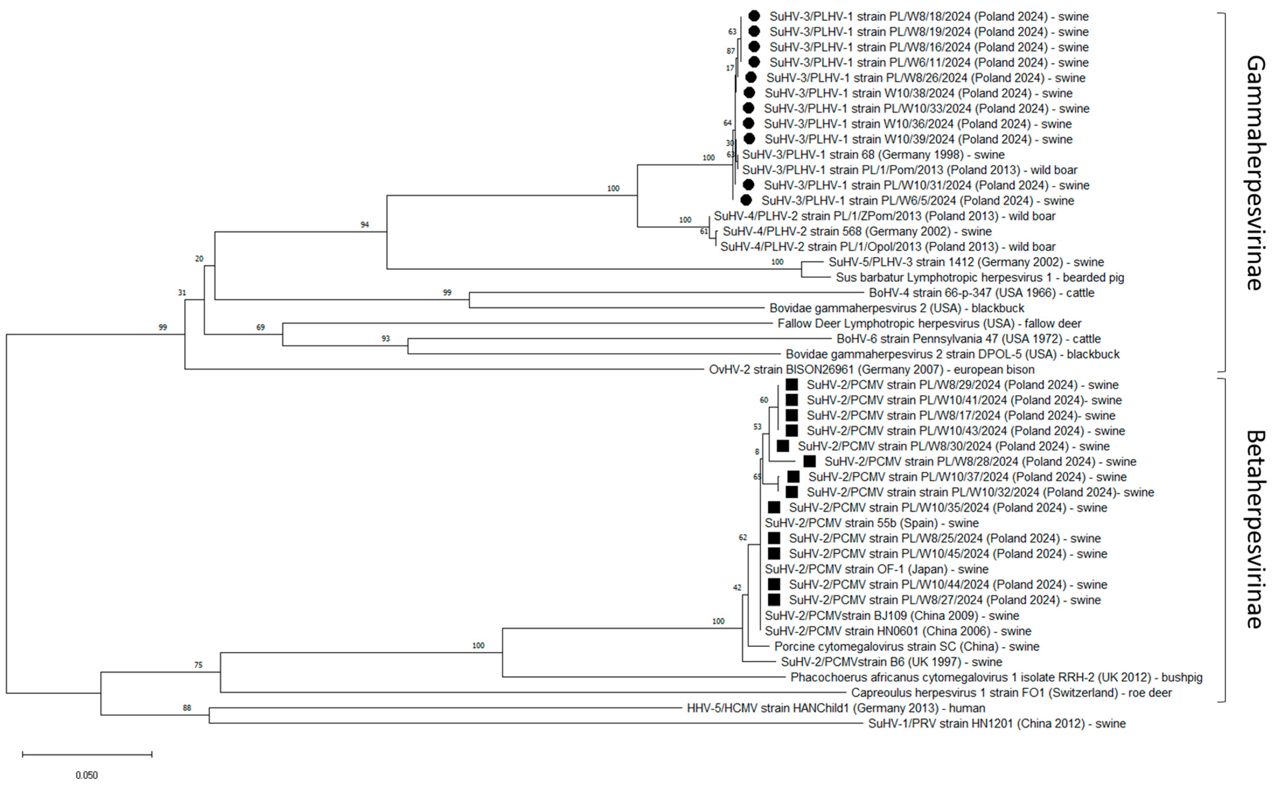 Pathogens 14 00396 g002