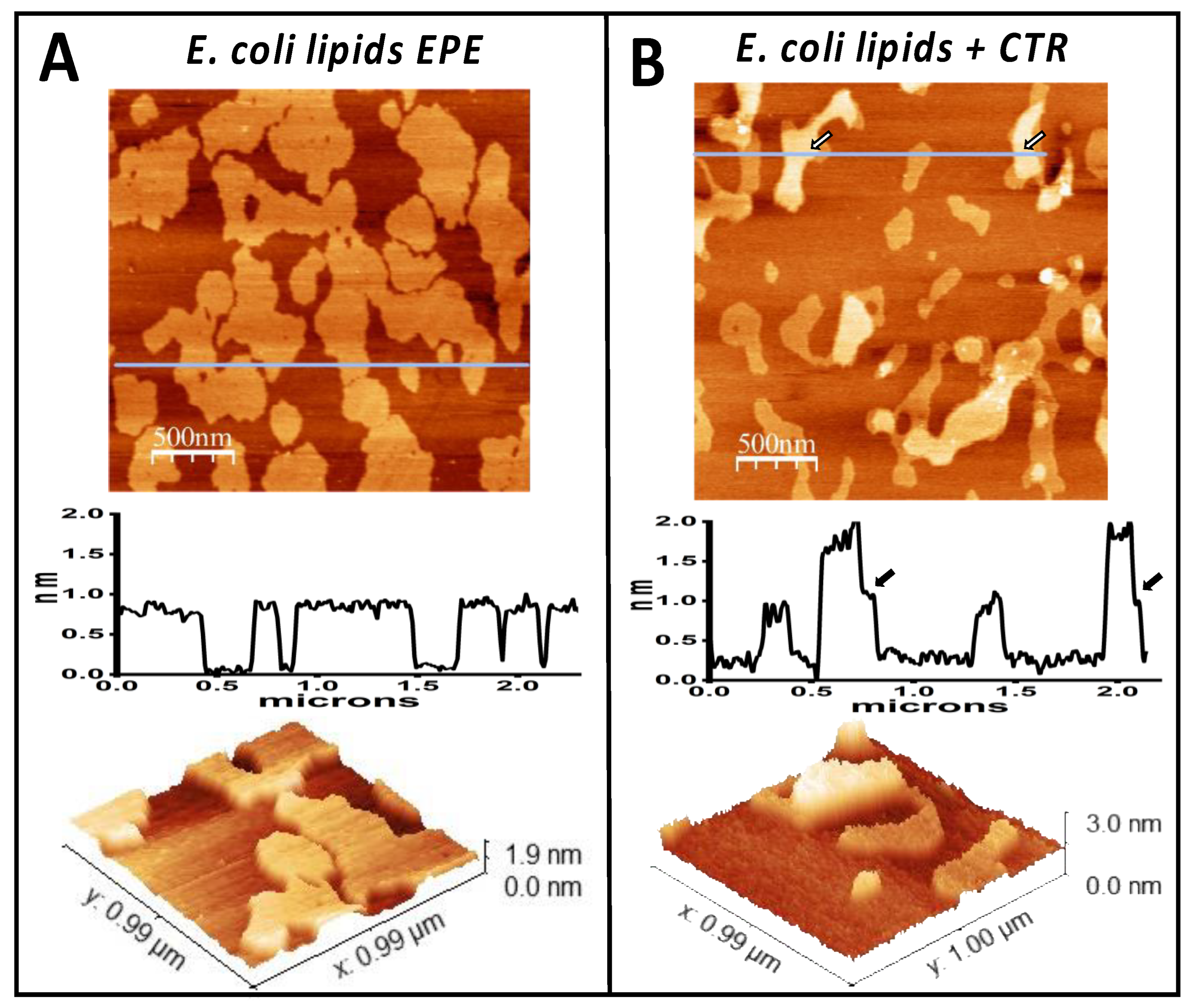 Pathogens 14 00399 g001