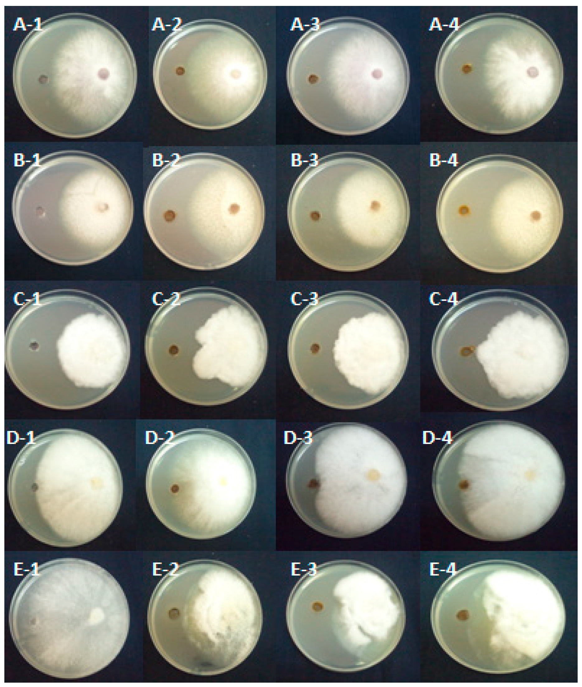 Pathogens 14 00401 g003