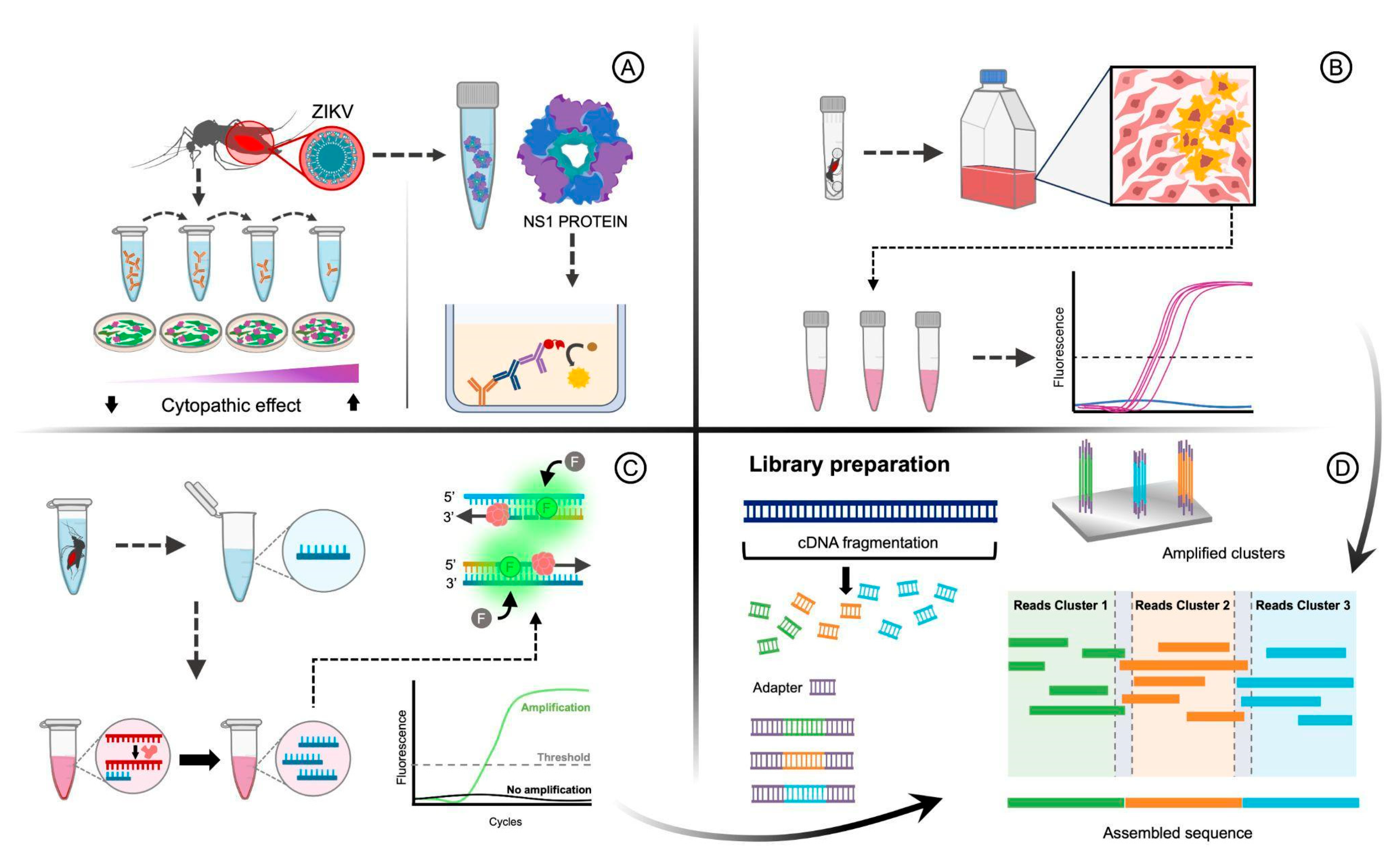 Pathogens 14 00416 g002