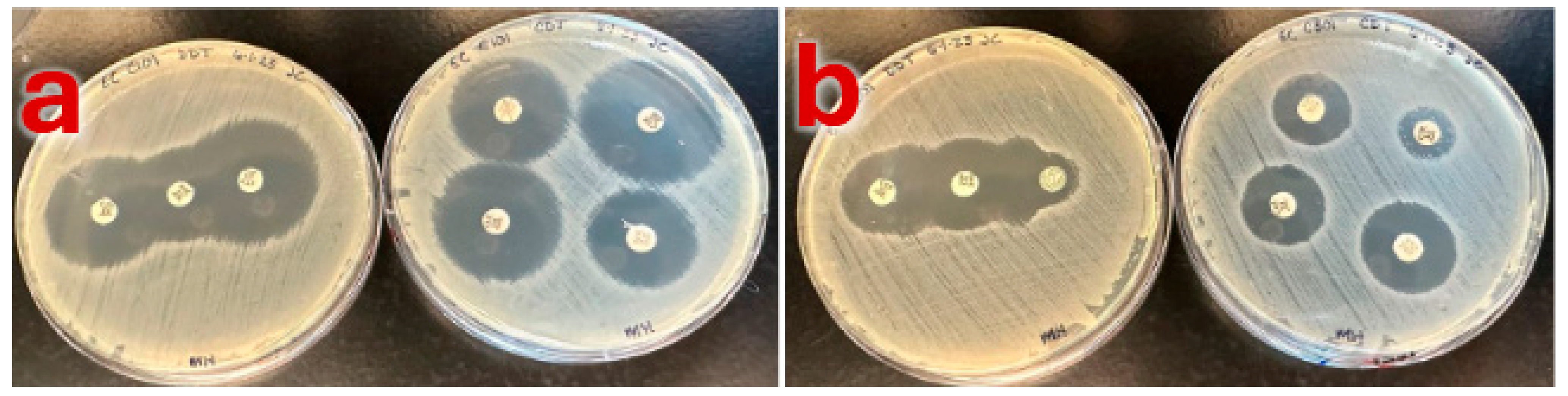 Pathogens 14 00417 g001