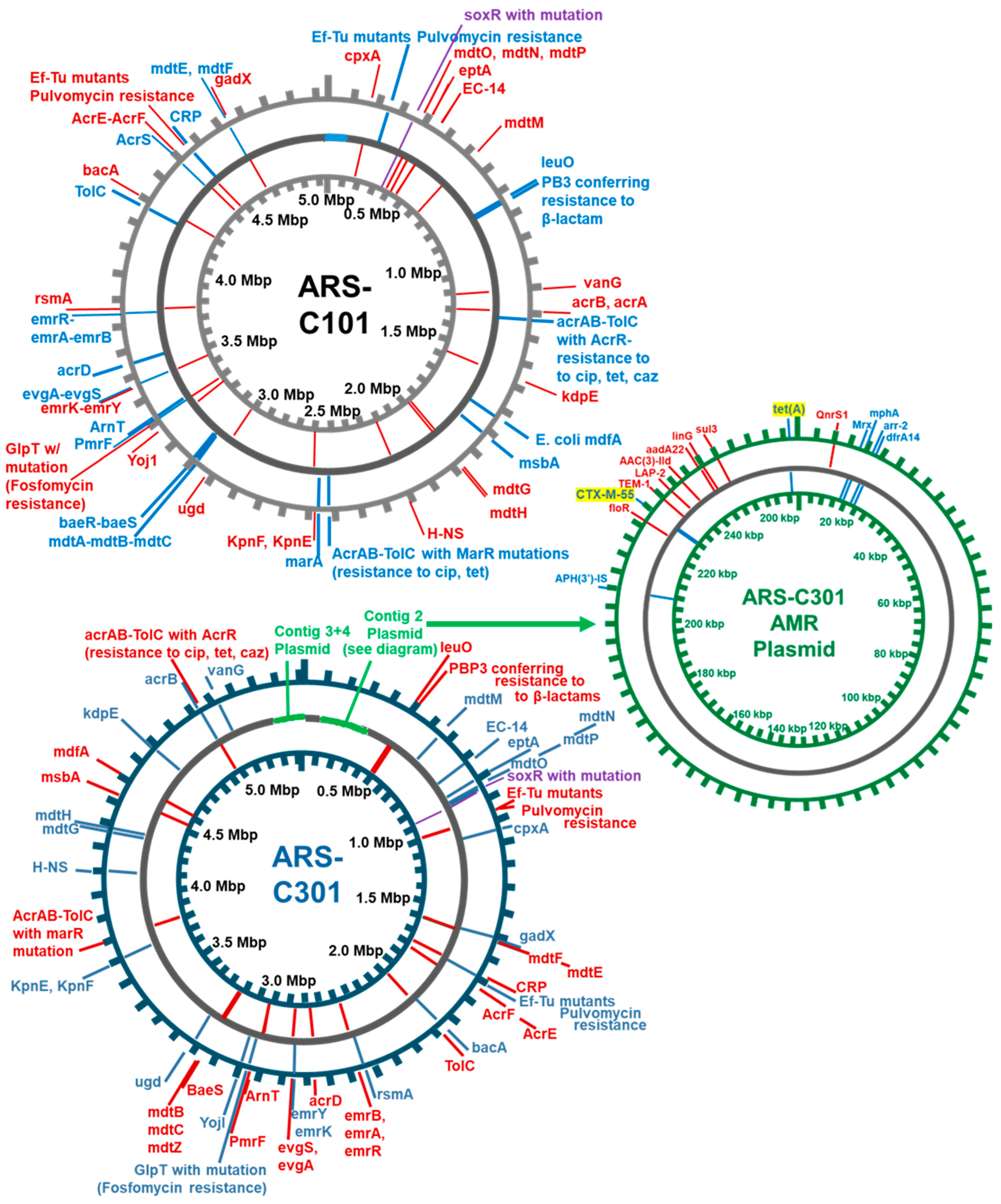 Pathogens 14 00417 g003