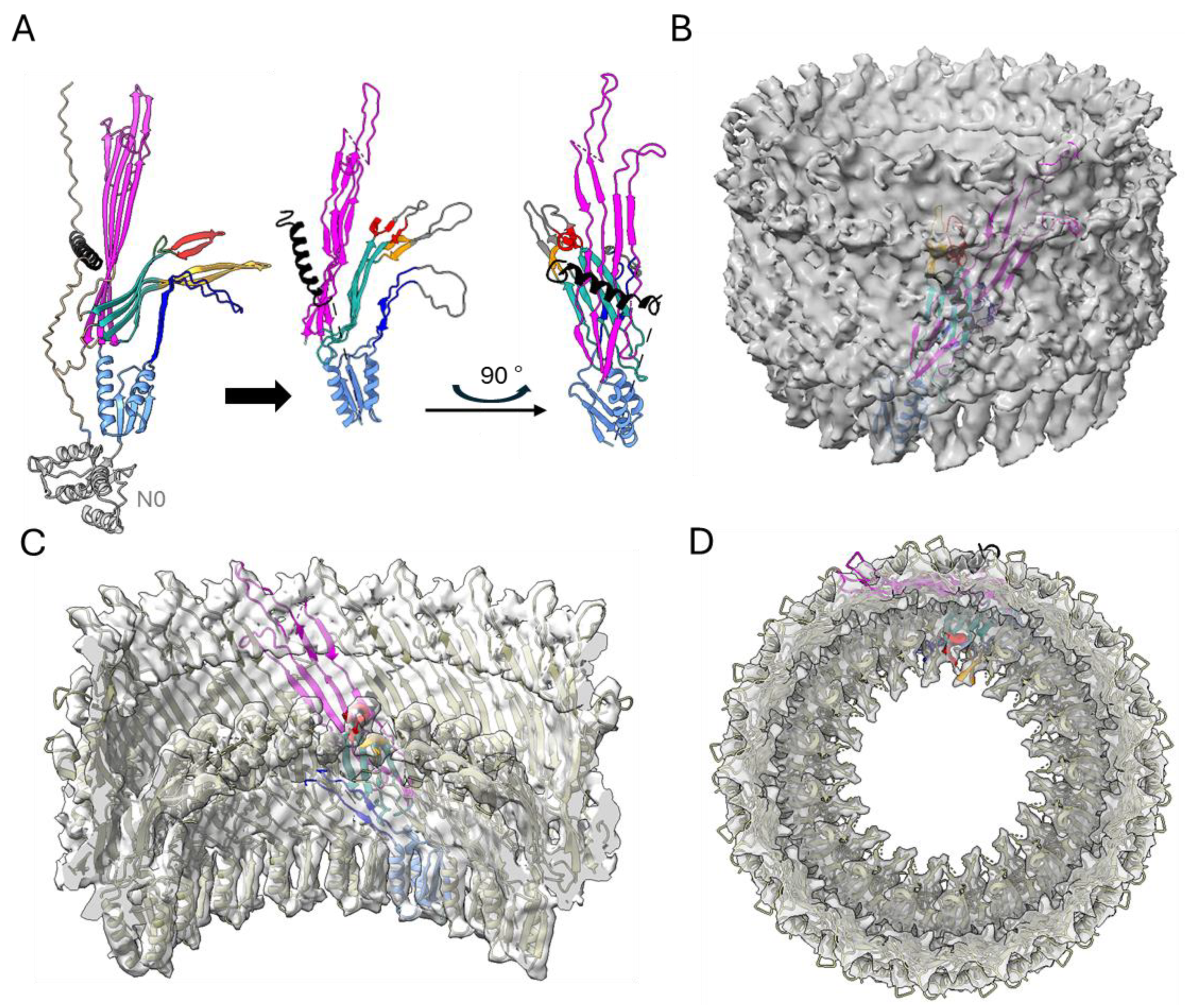 Pathogens 14 00471 g005 Pathogens 14 00471 g005