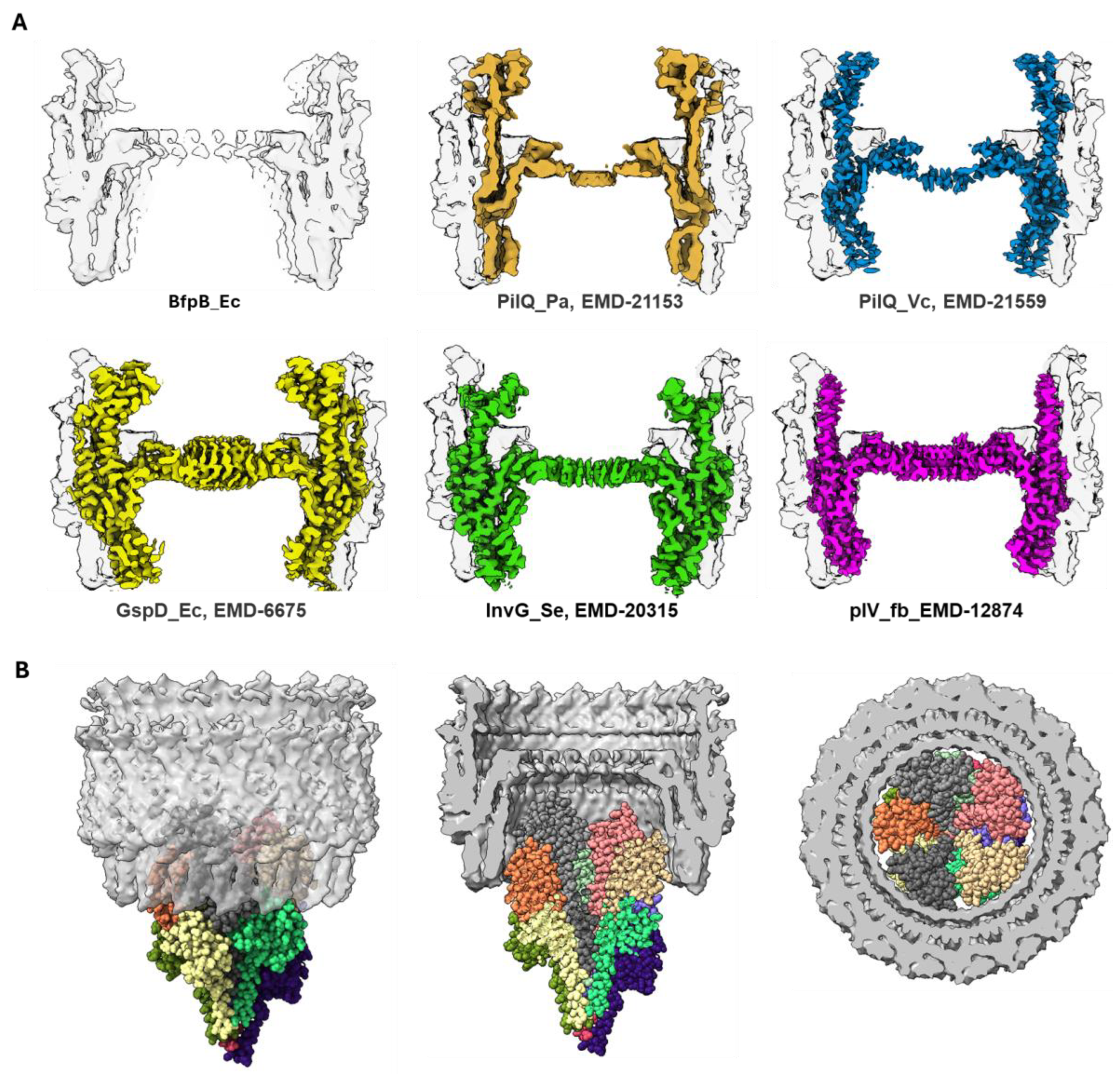 Pathogens 14 00471 g008 Pathogens 14 00471 g008