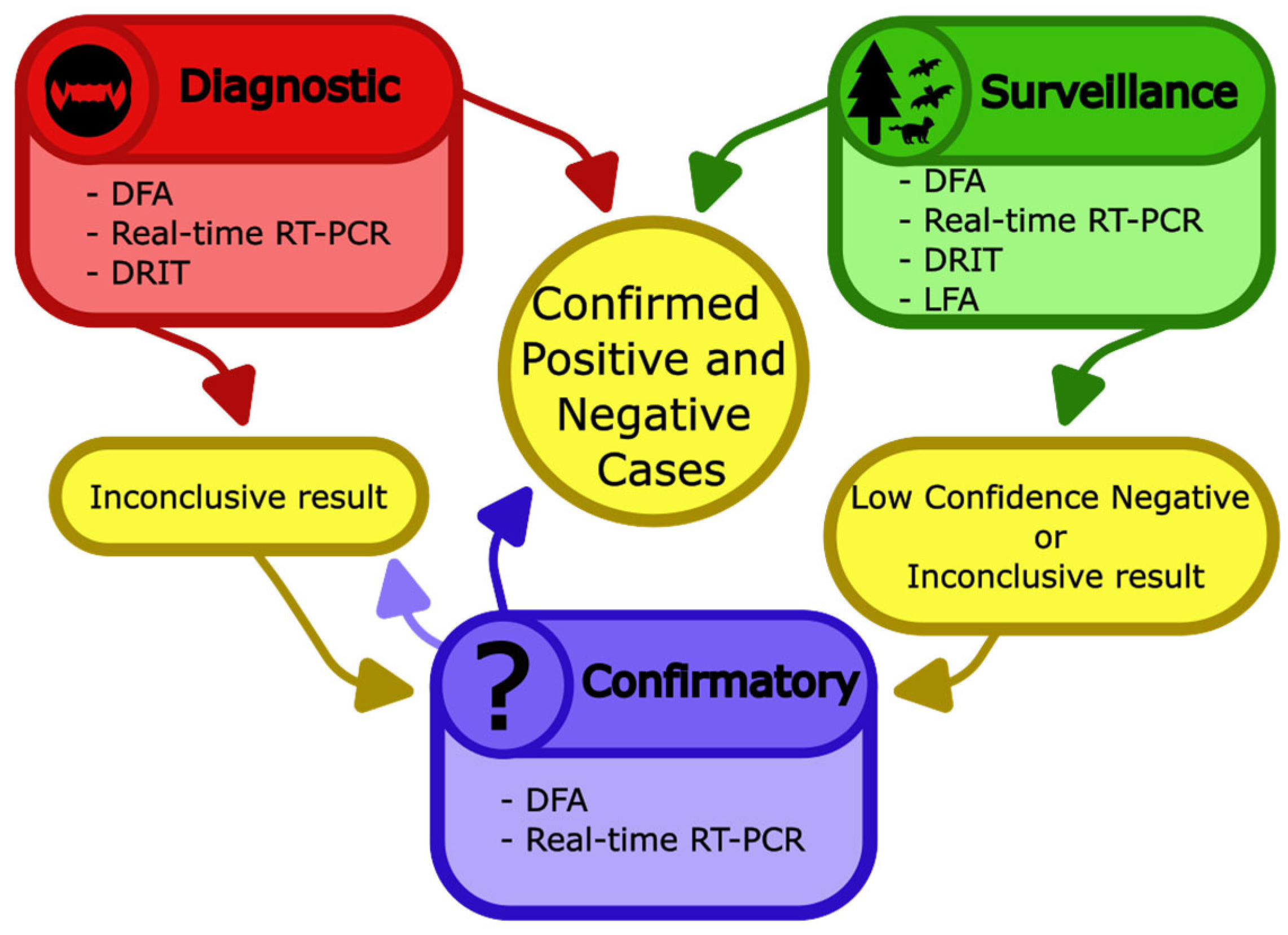 Pathogens 14 00586 g006 Pathogens 14 00586 g006