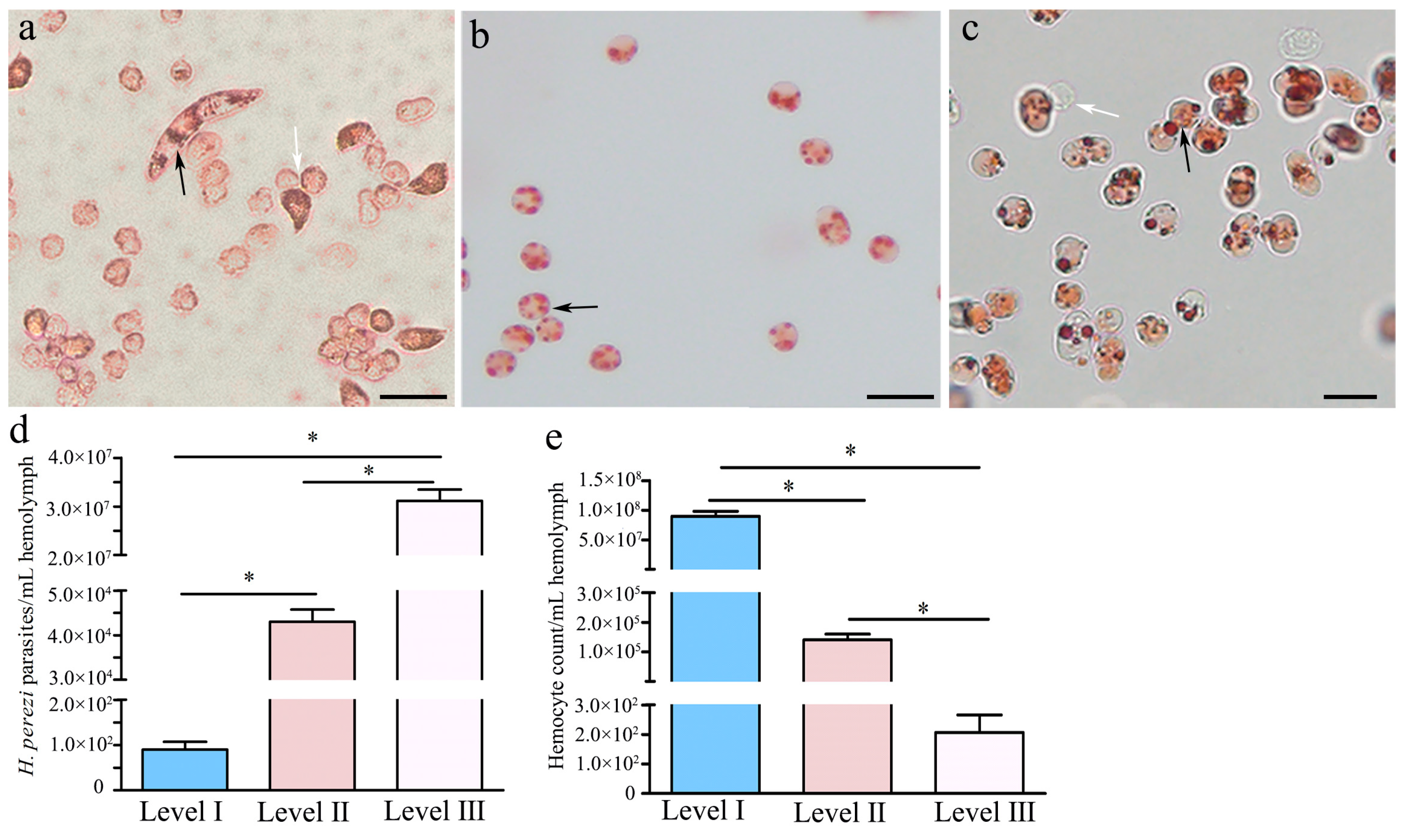 Pathogens 14 00650 g001