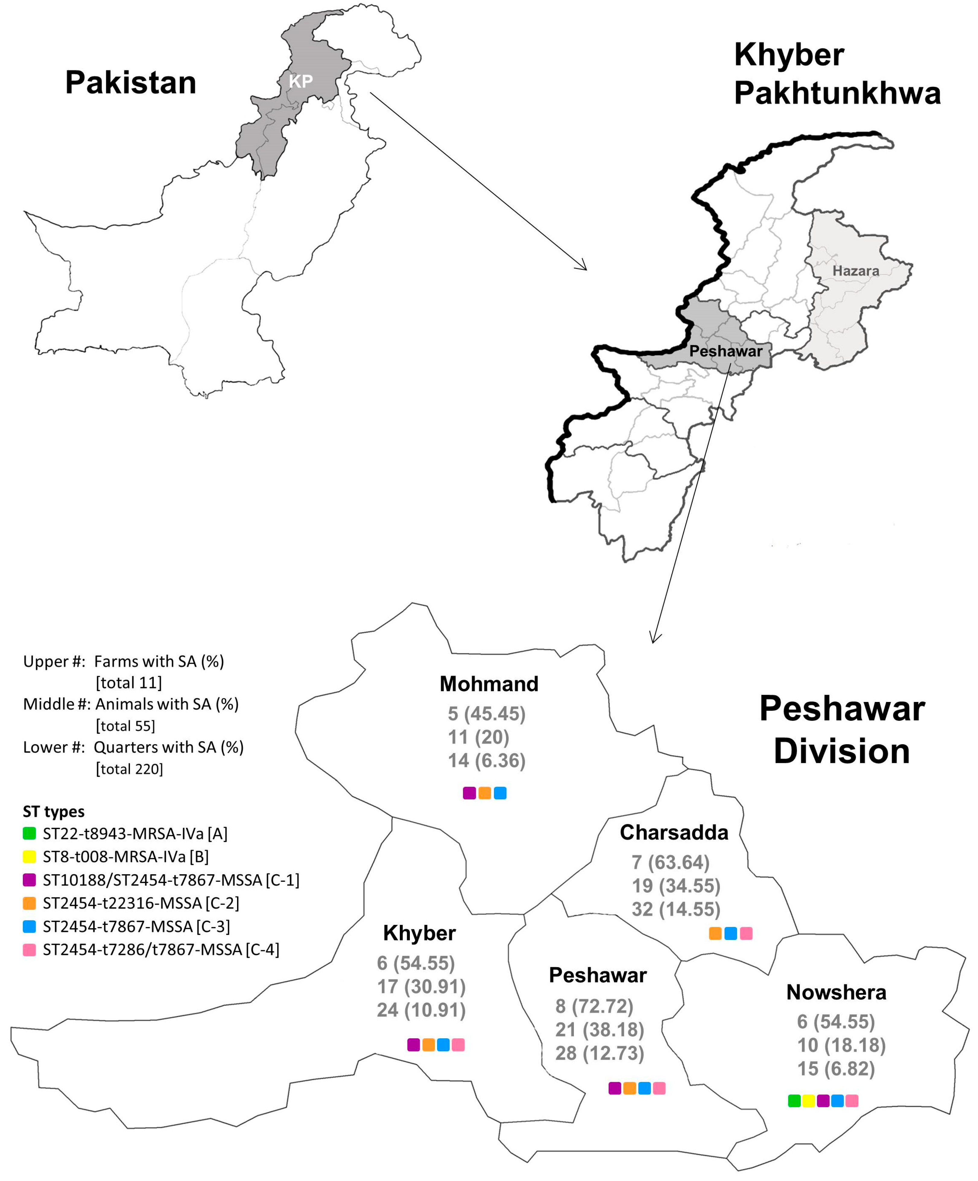 Pathogens 14 00735 g001