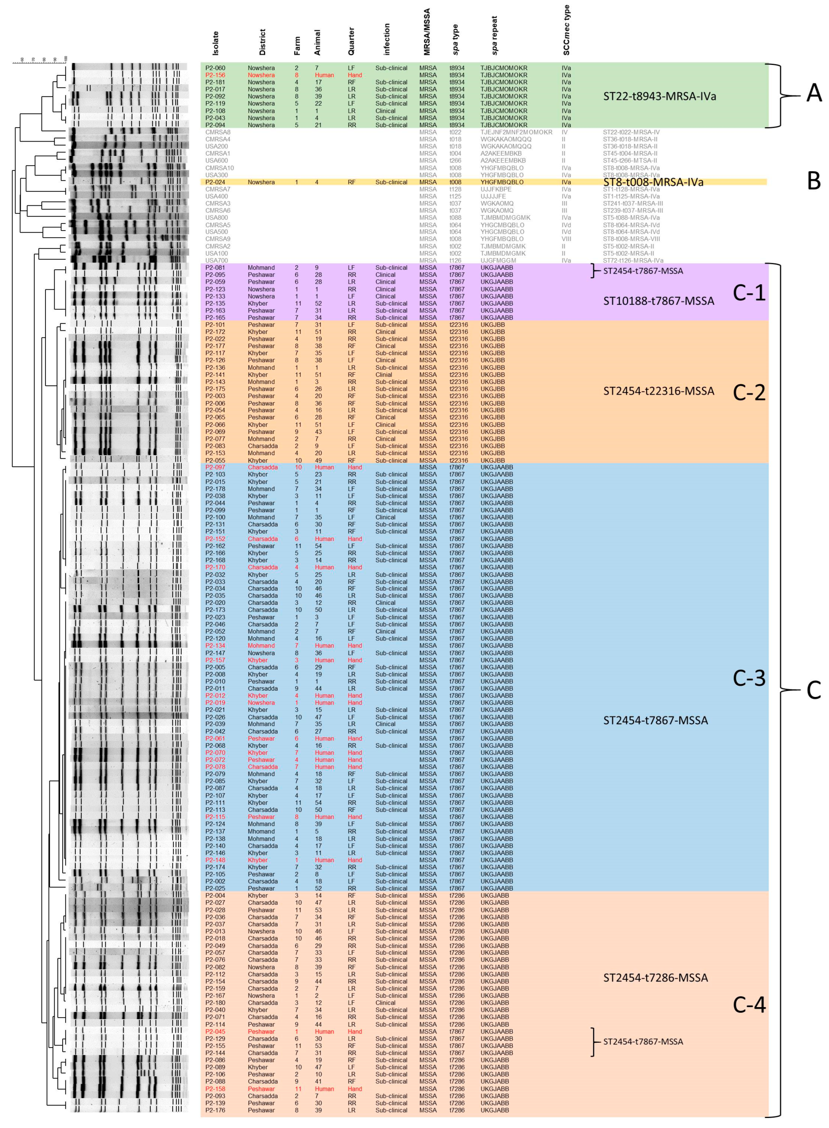 Pathogens 14 00735 g003