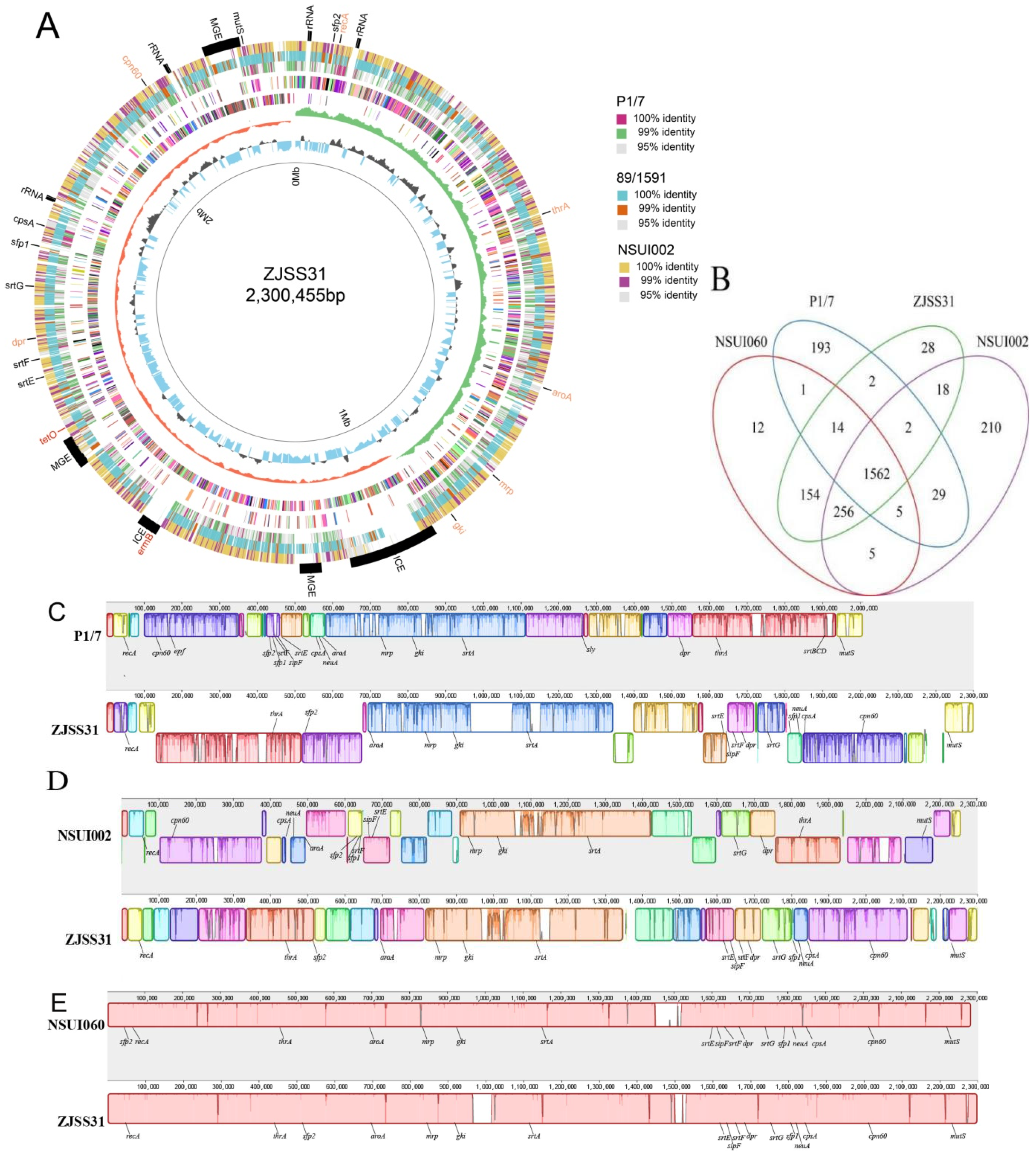 Pathogens 14 00742 g001