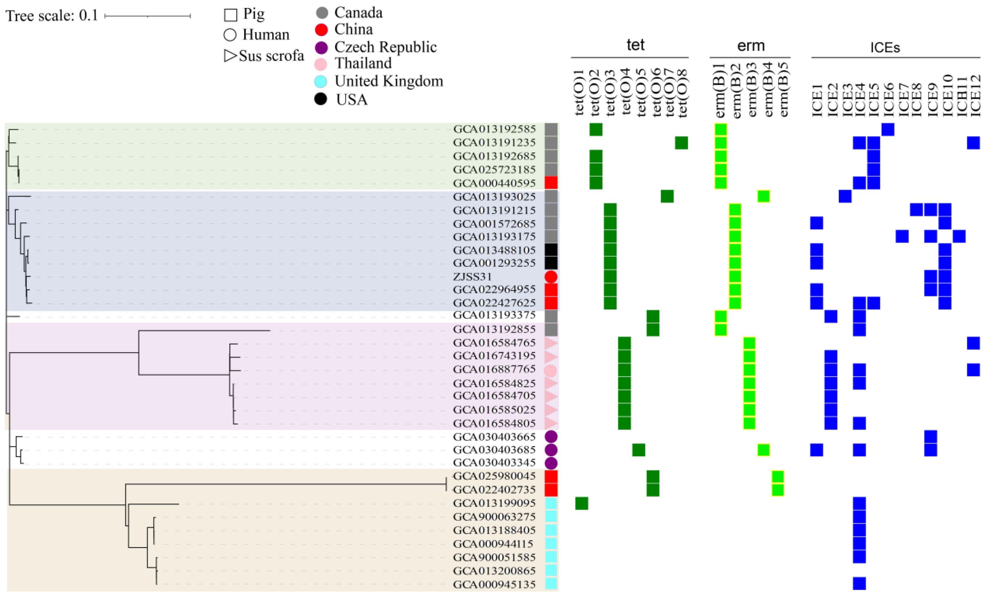 Pathogens 14 00742 g002