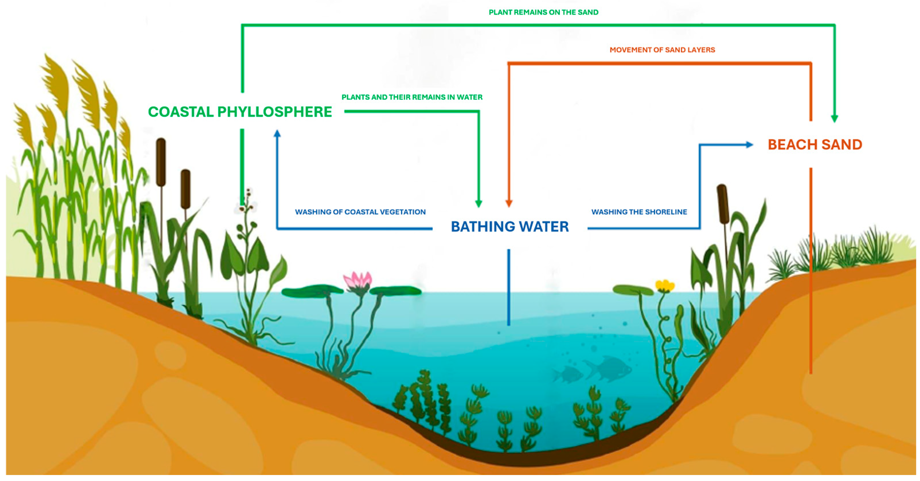 Pathogens 14 00744 g001 Pathogens 14 00744 g001