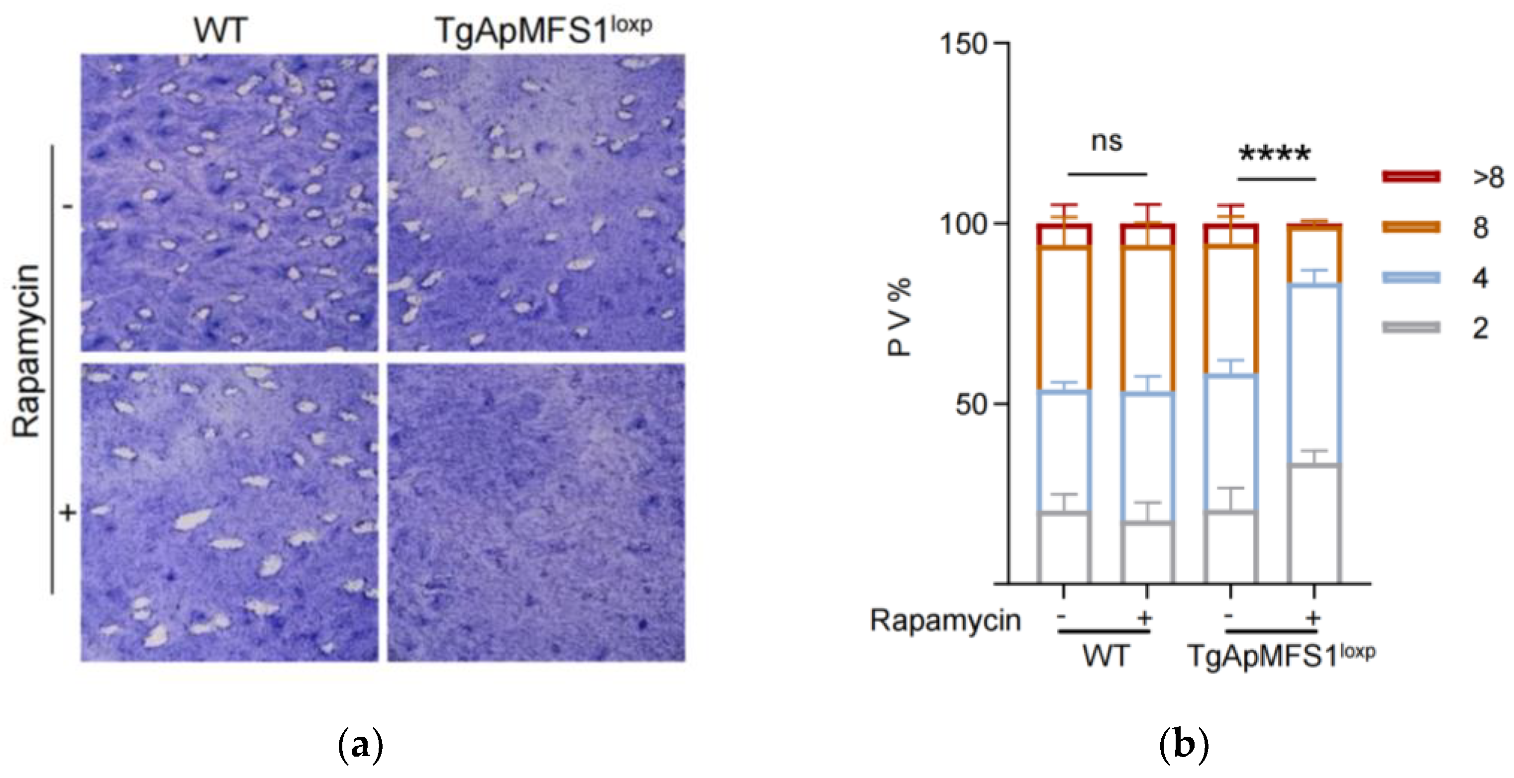 Pathogens 14 00763 g002