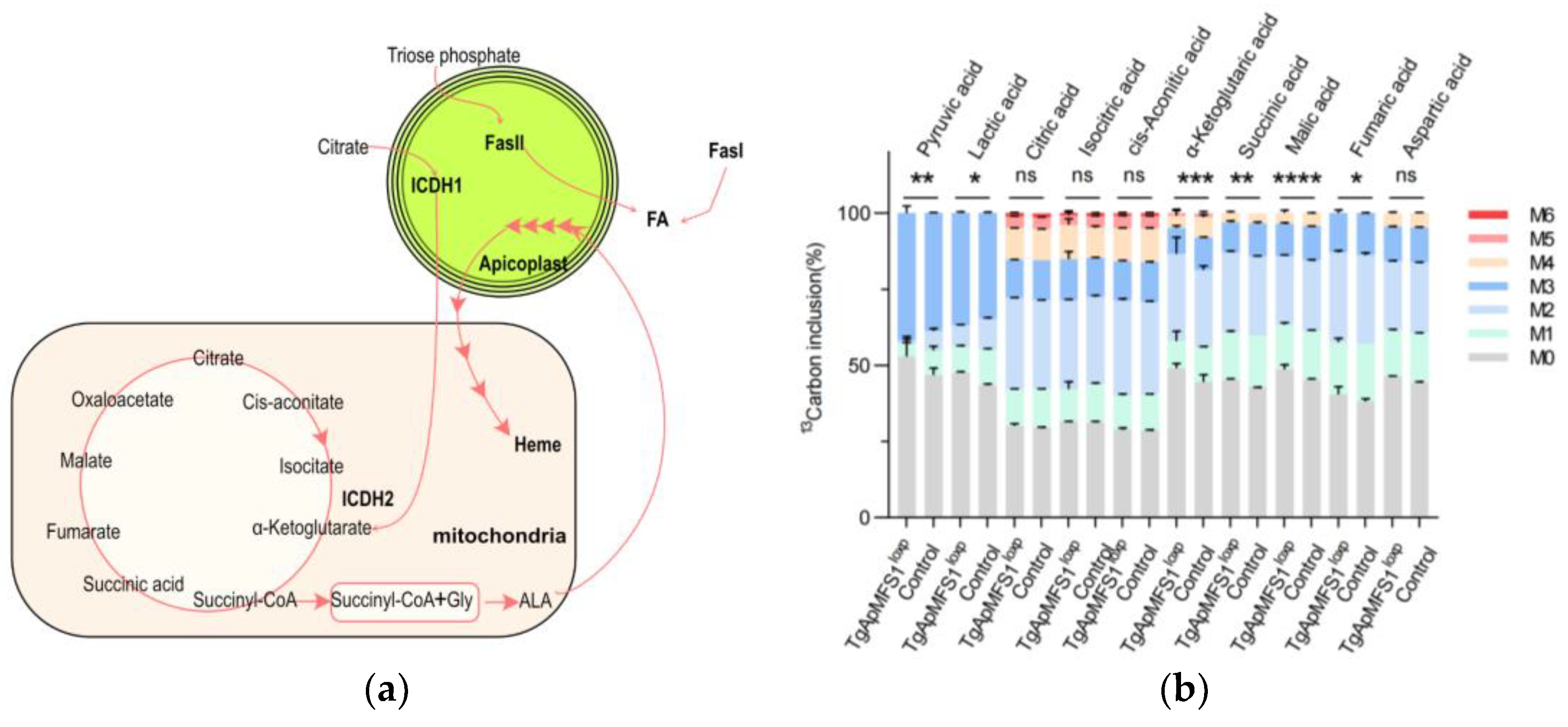 Pathogens 14 00763 g005