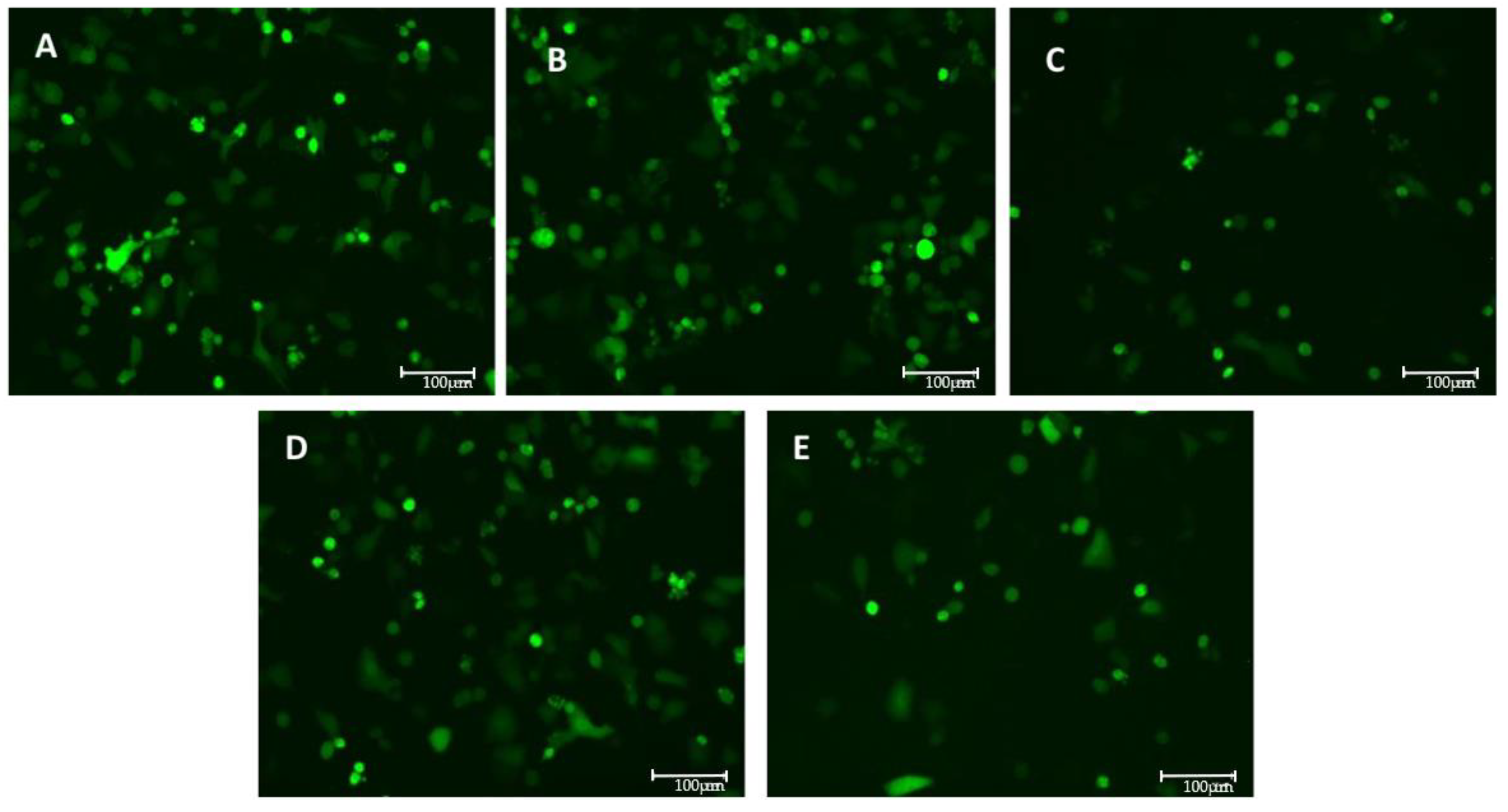 Pathogens 14 00765 g004