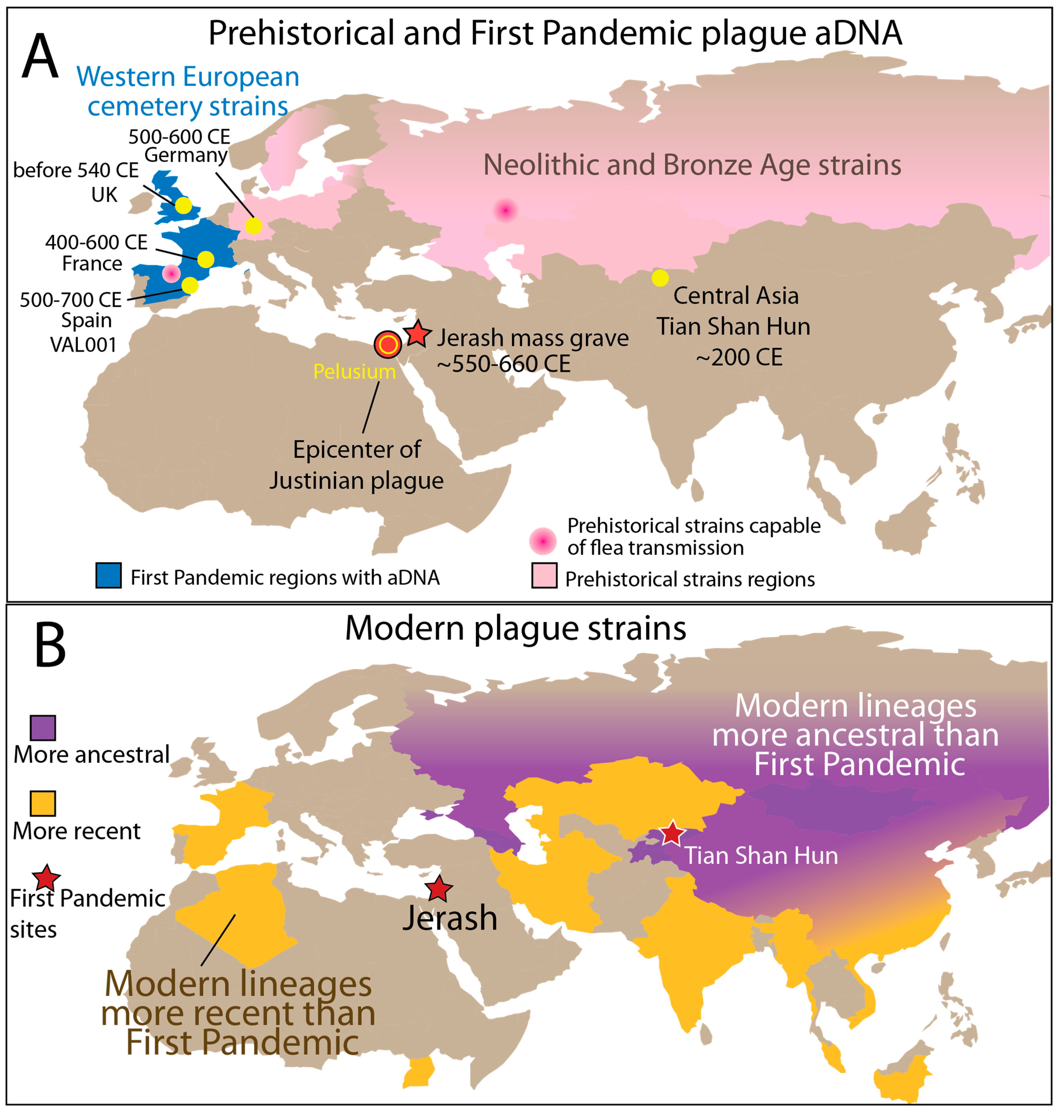 Pathogens 14 00797 g001 Pathogens 14 00797 g001