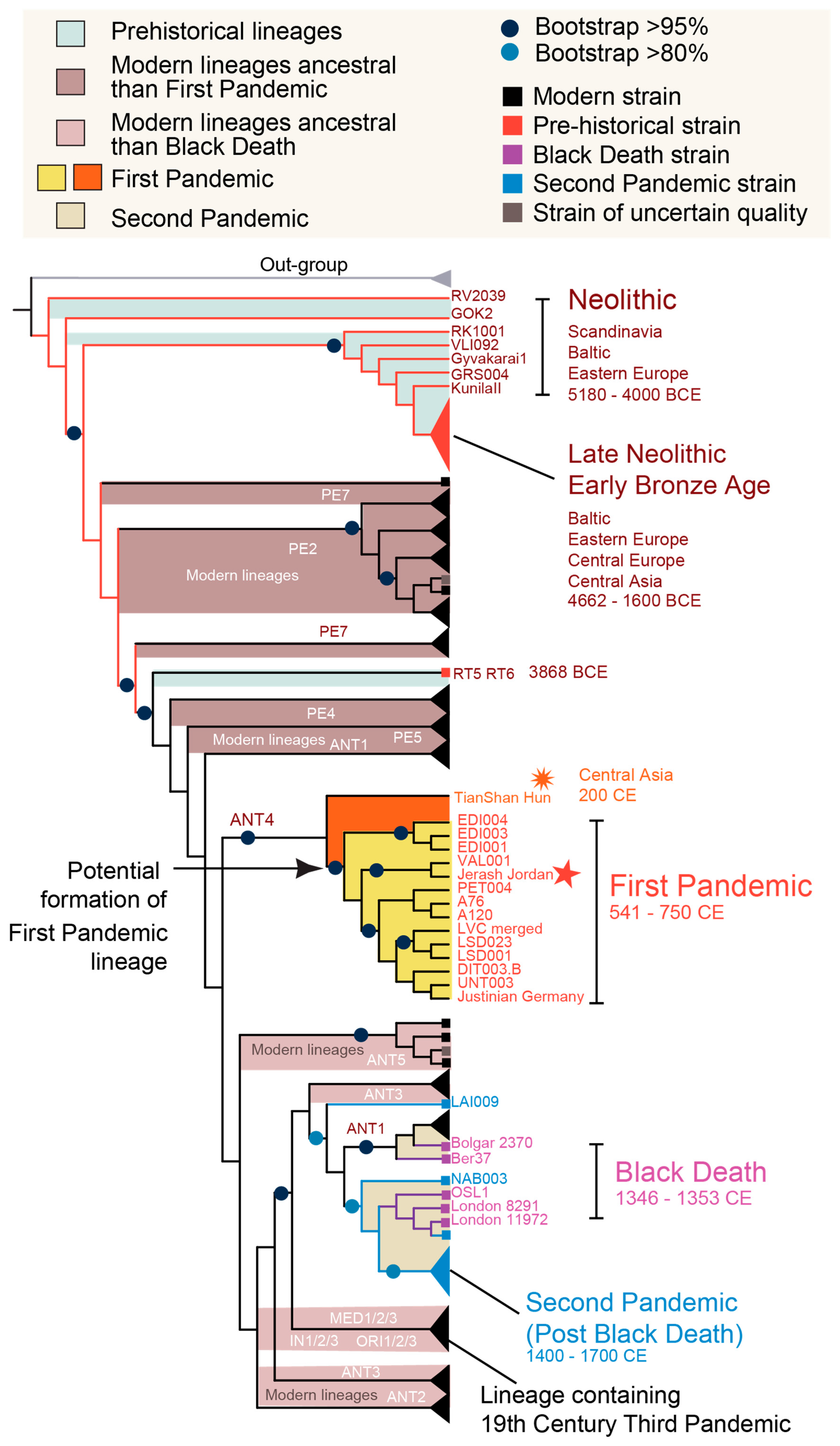 Pathogens 14 00797 g002 Pathogens 14 00797 g002
