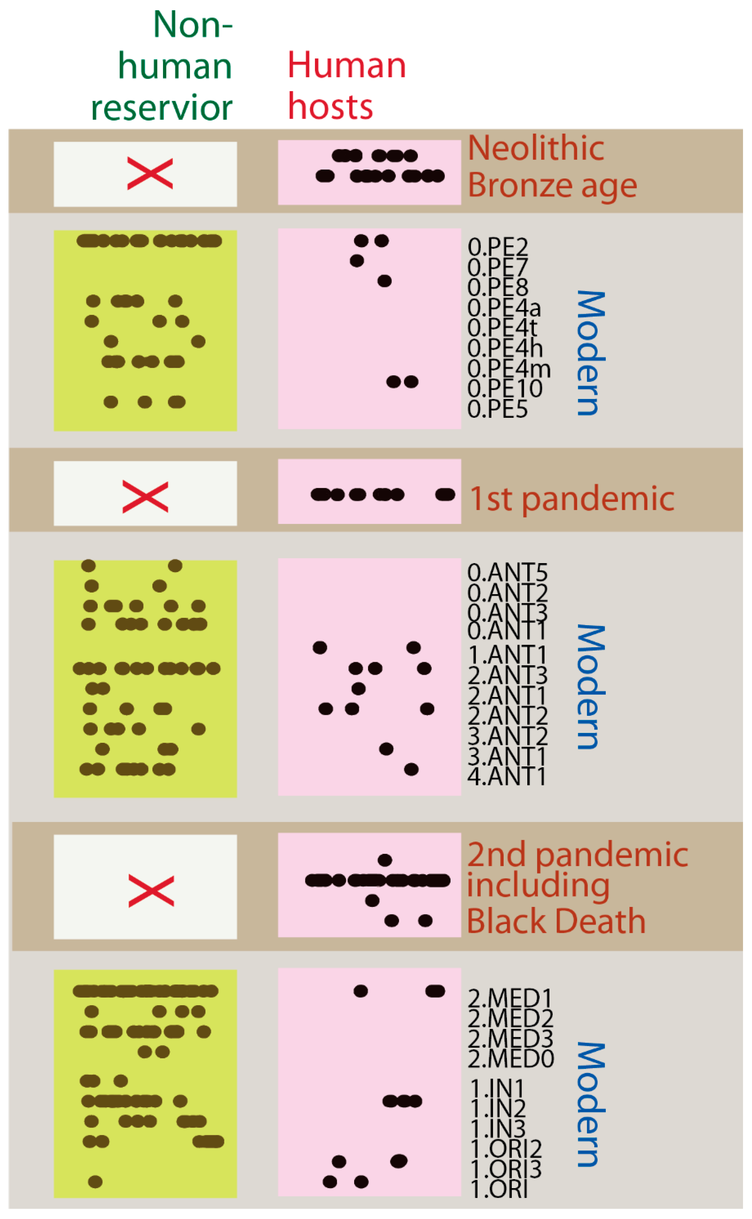 Pathogens 14 00797 g004 Pathogens 14 00797 g004