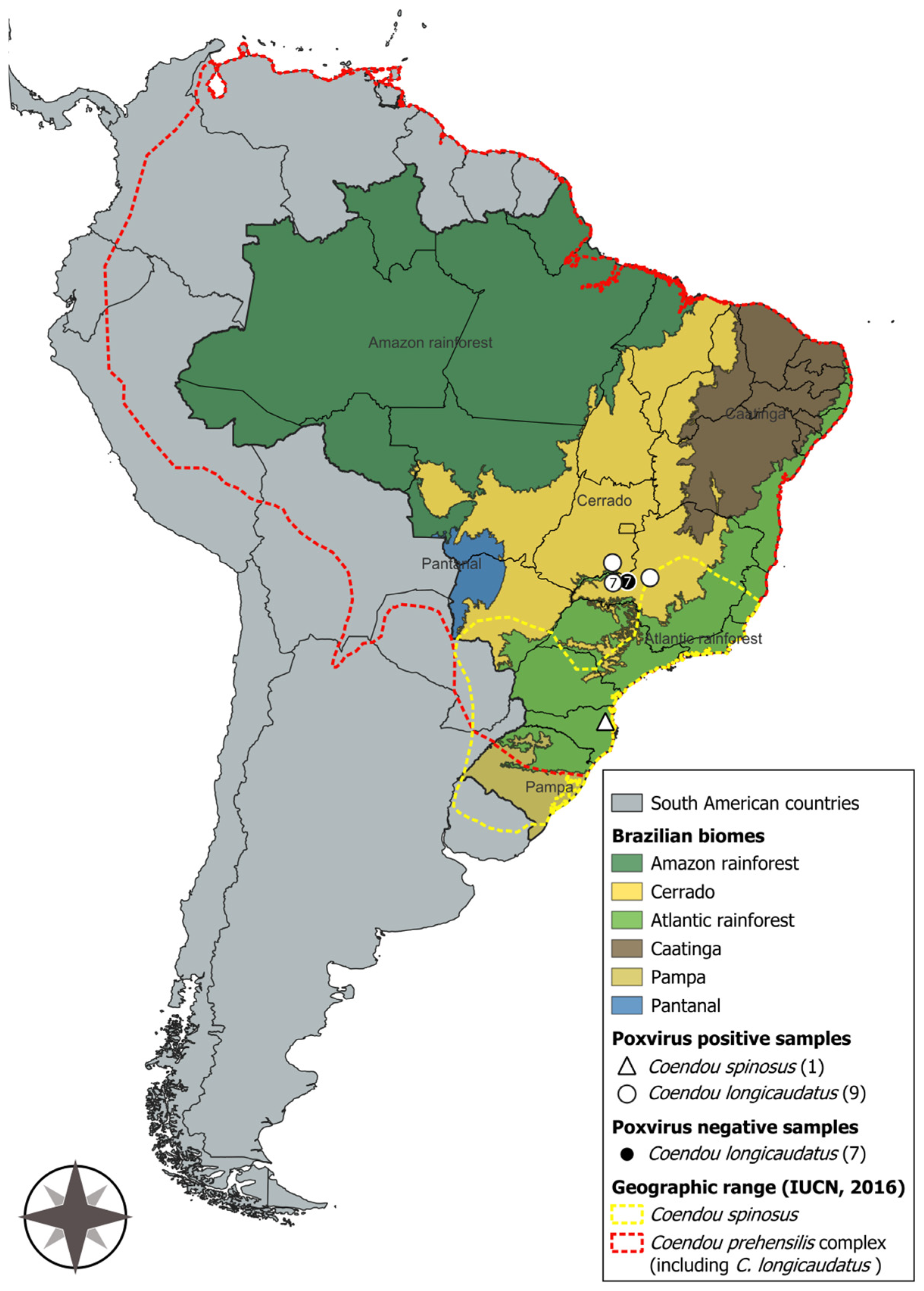 Pathogens 14 00809 g002 Pathogens 14 00809 g002