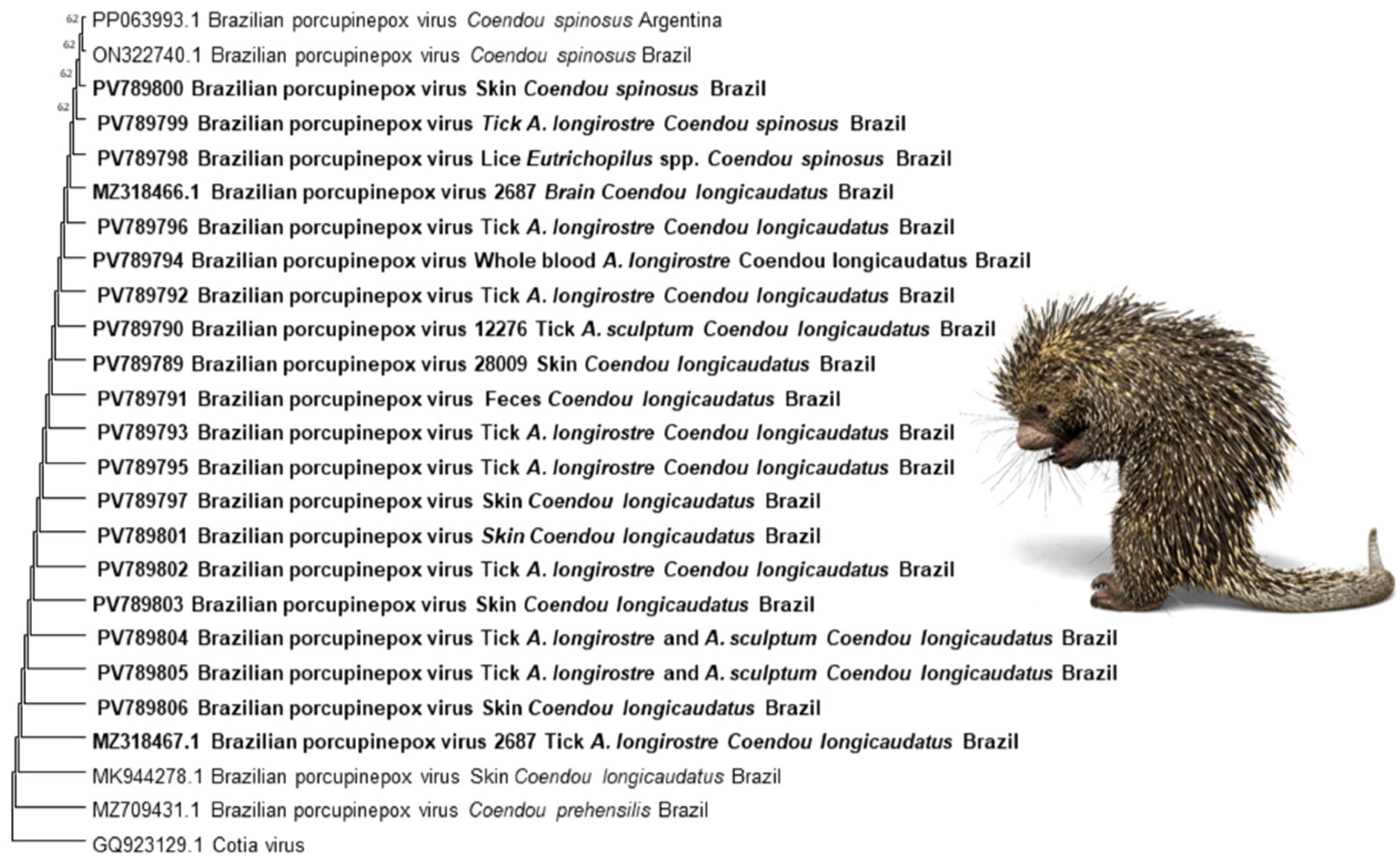 Pathogens 14 00809 g003 Pathogens 14 00809 g003