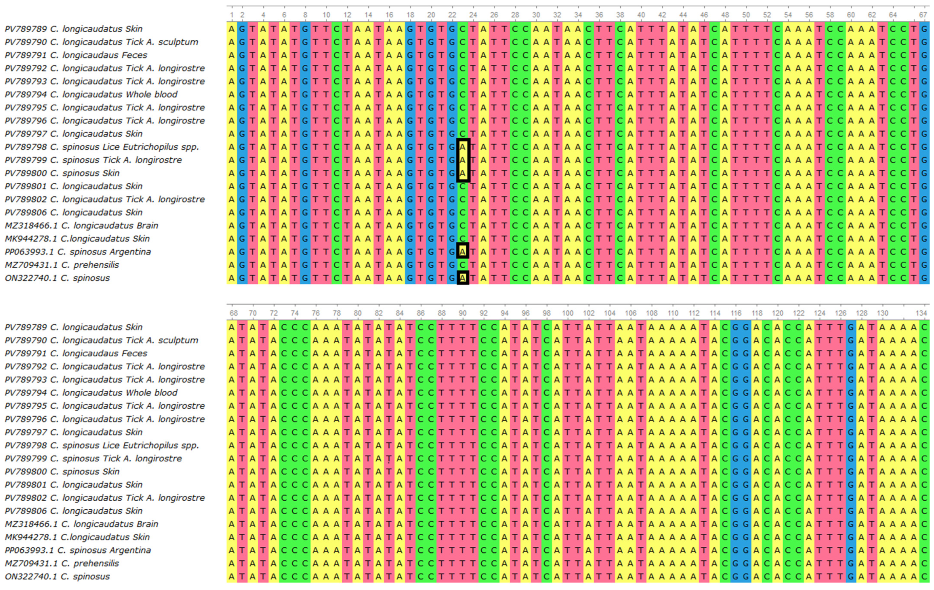 Pathogens 14 00809 g004 Pathogens 14 00809 g004