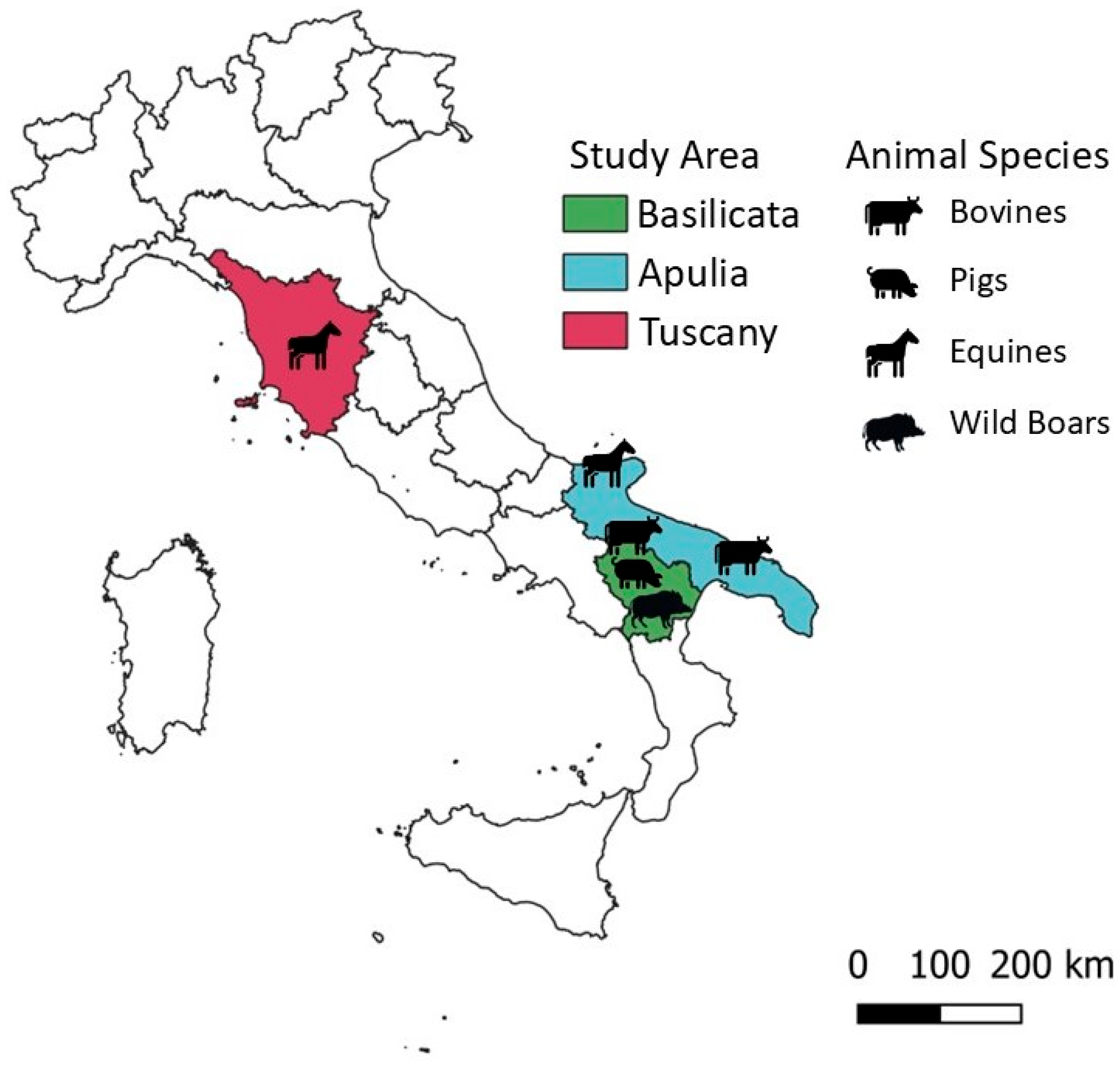 Pathogens 14 00891 g001 Pathogens 14 00891 g001