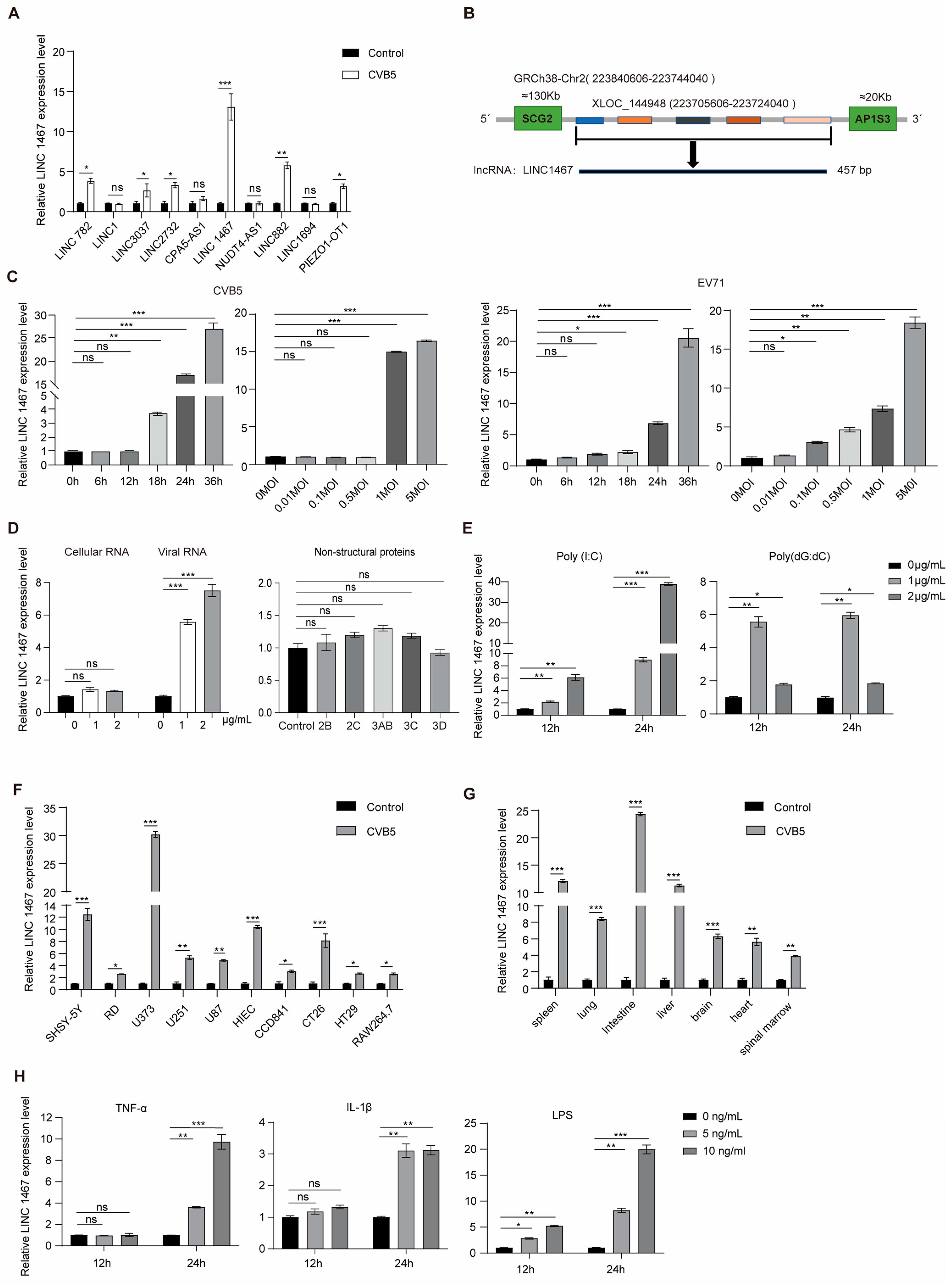 Pathogens 14 01071 g001 Pathogens 14 01071 g001