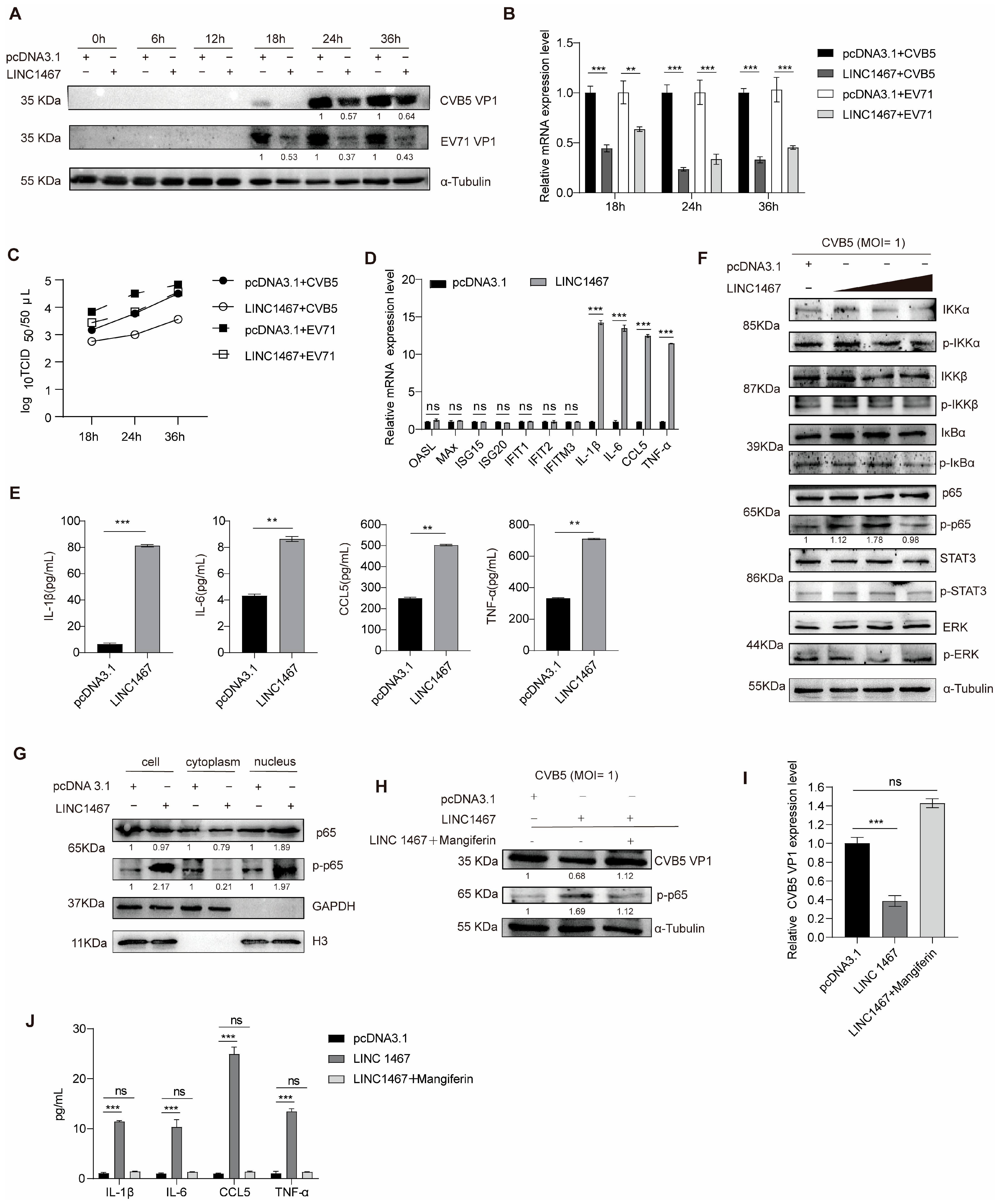 Pathogens 14 01071 g002 Pathogens 14 01071 g002