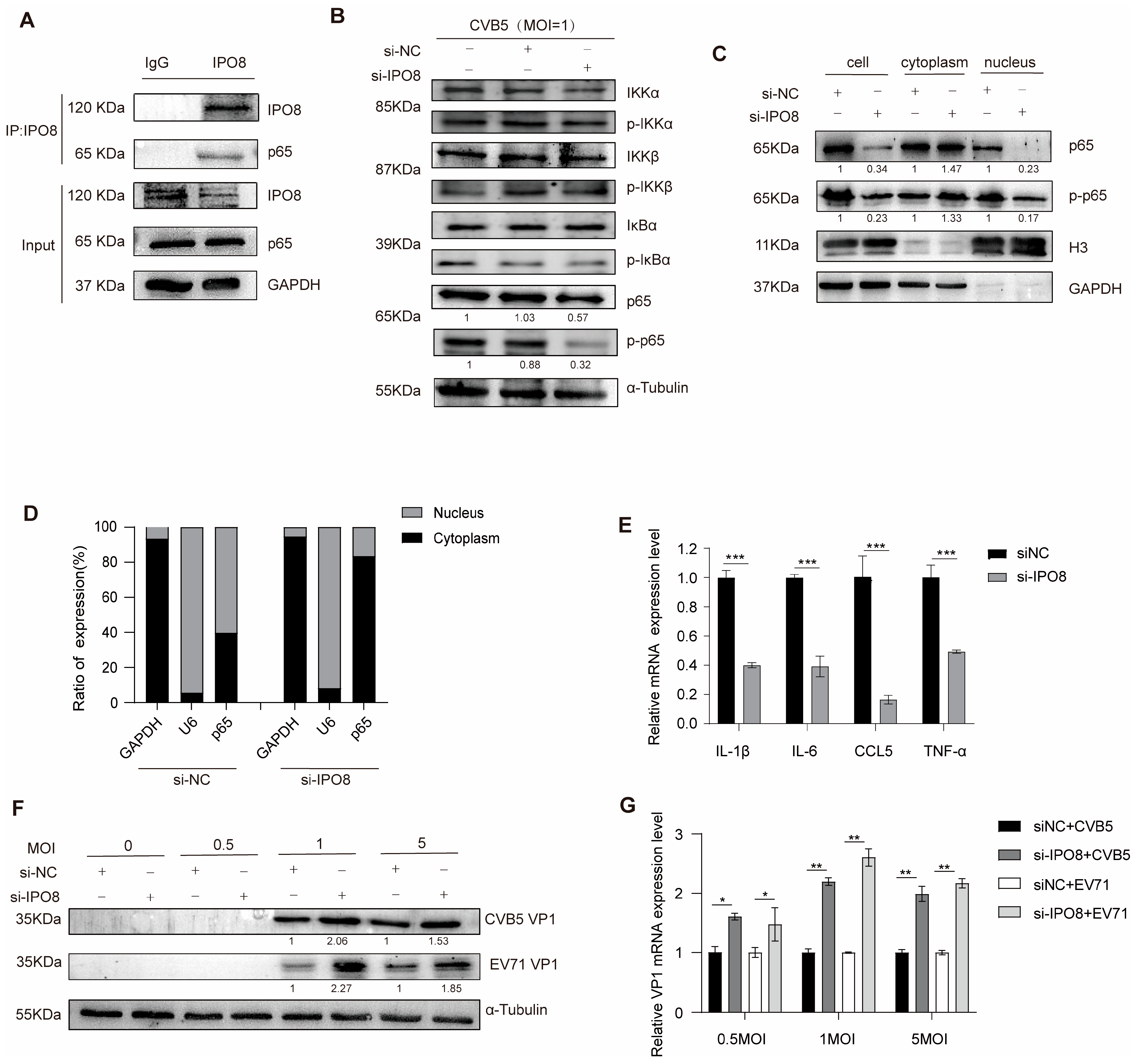 Pathogens 14 01071 g004 Pathogens 14 01071 g004