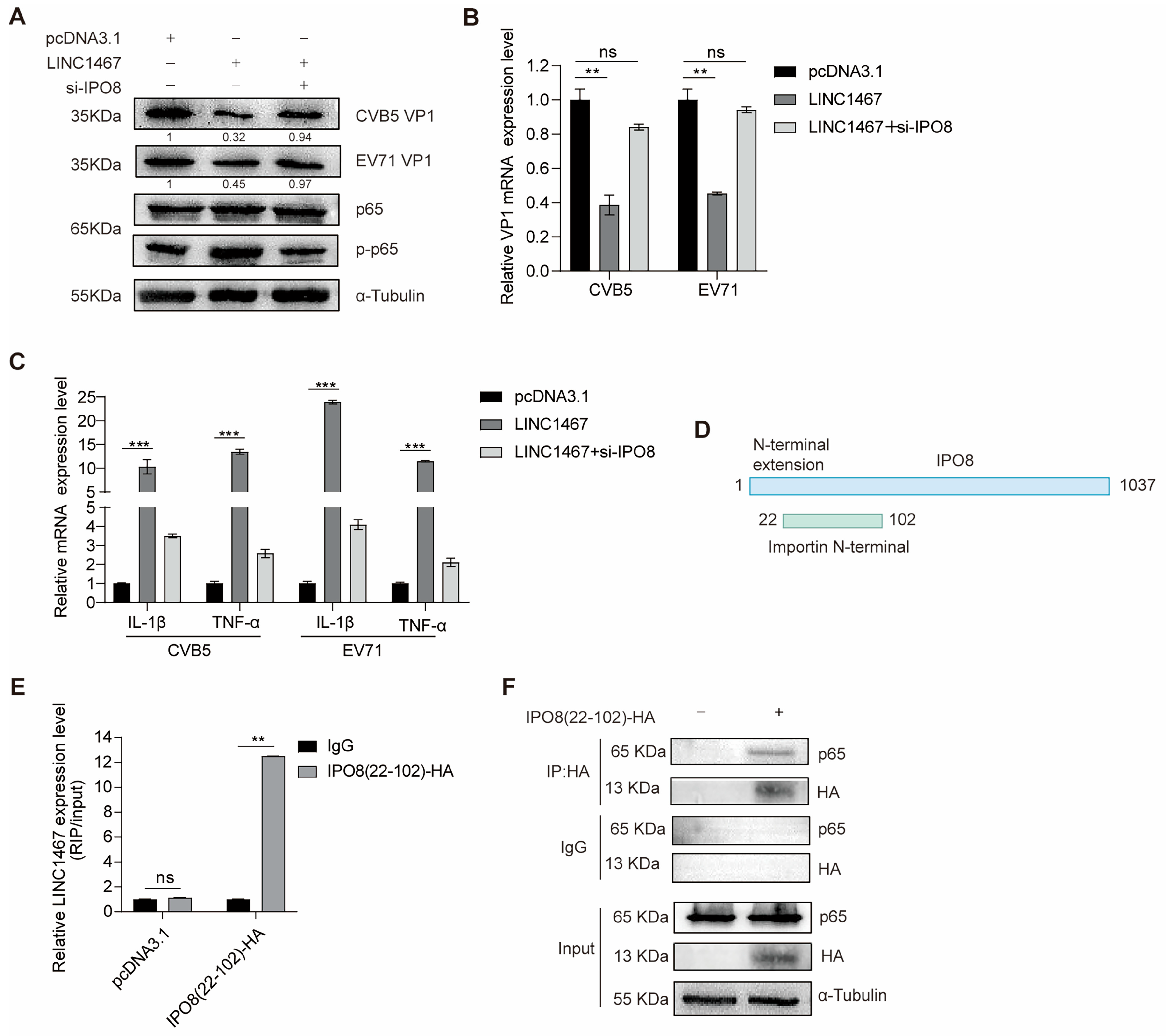Pathogens 14 01071 g005 Pathogens 14 01071 g005