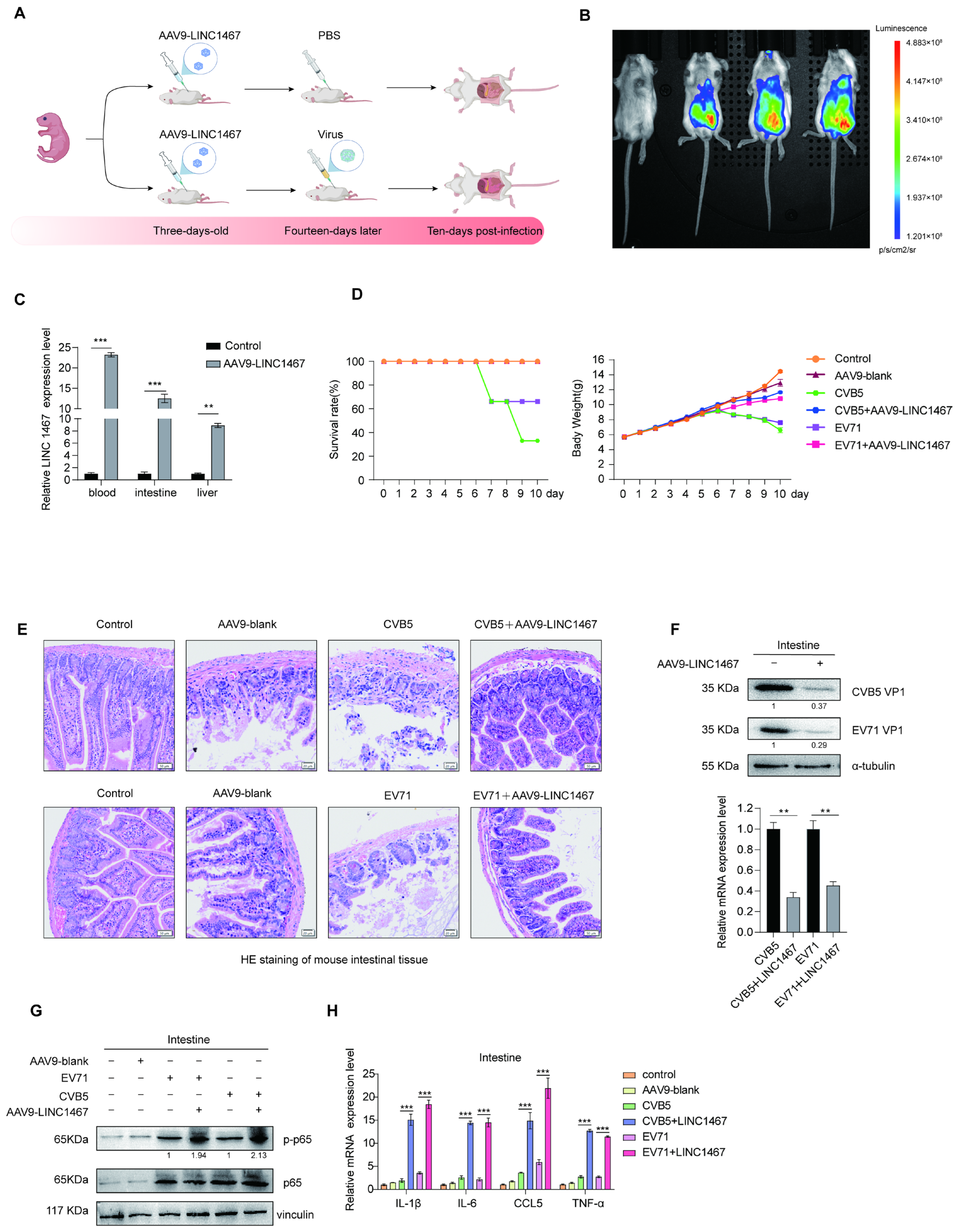 Pathogens 14 01071 g006 Pathogens 14 01071 g006