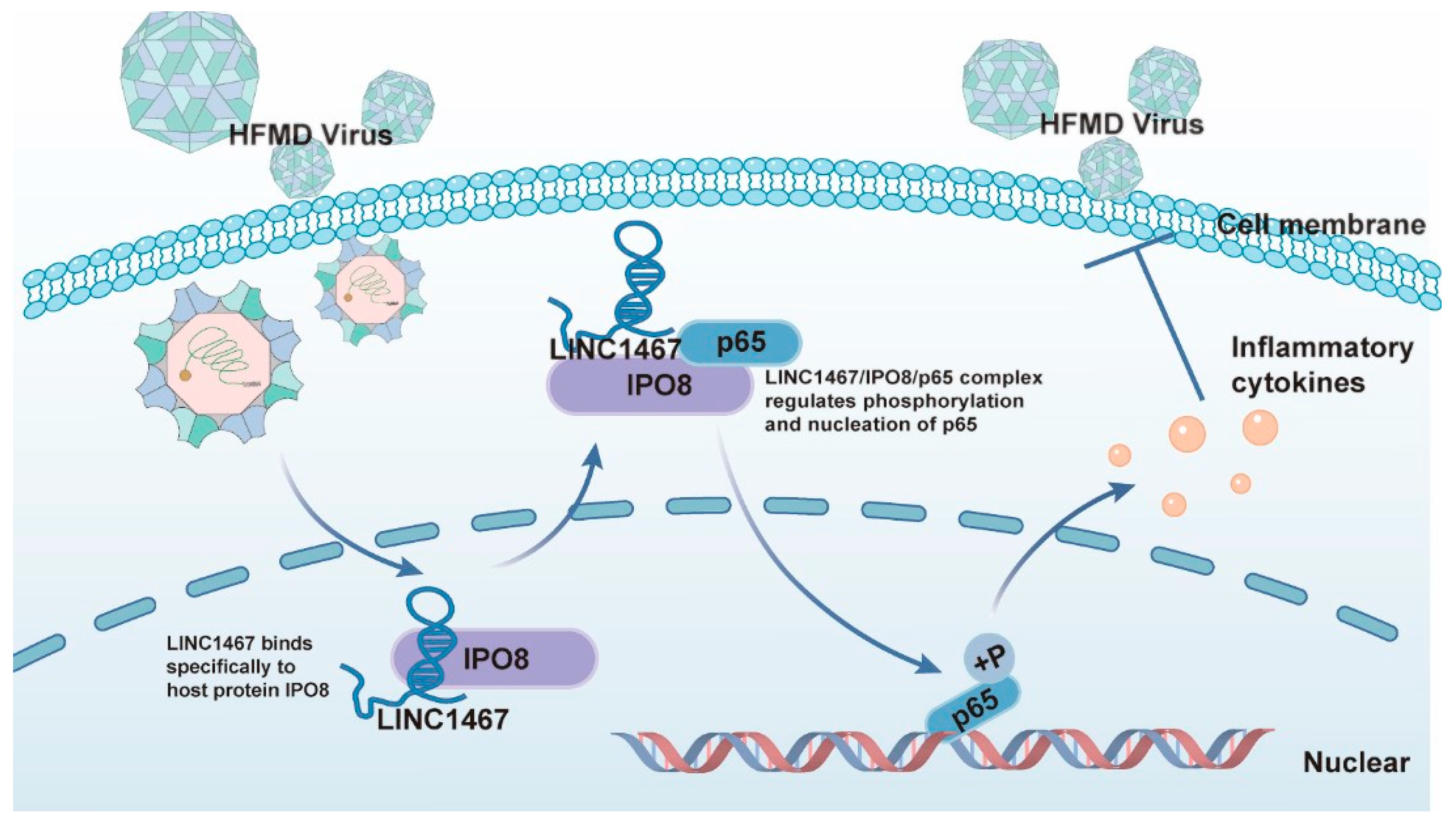 Pathogens 14 01071 g007 Pathogens 14 01071 g007