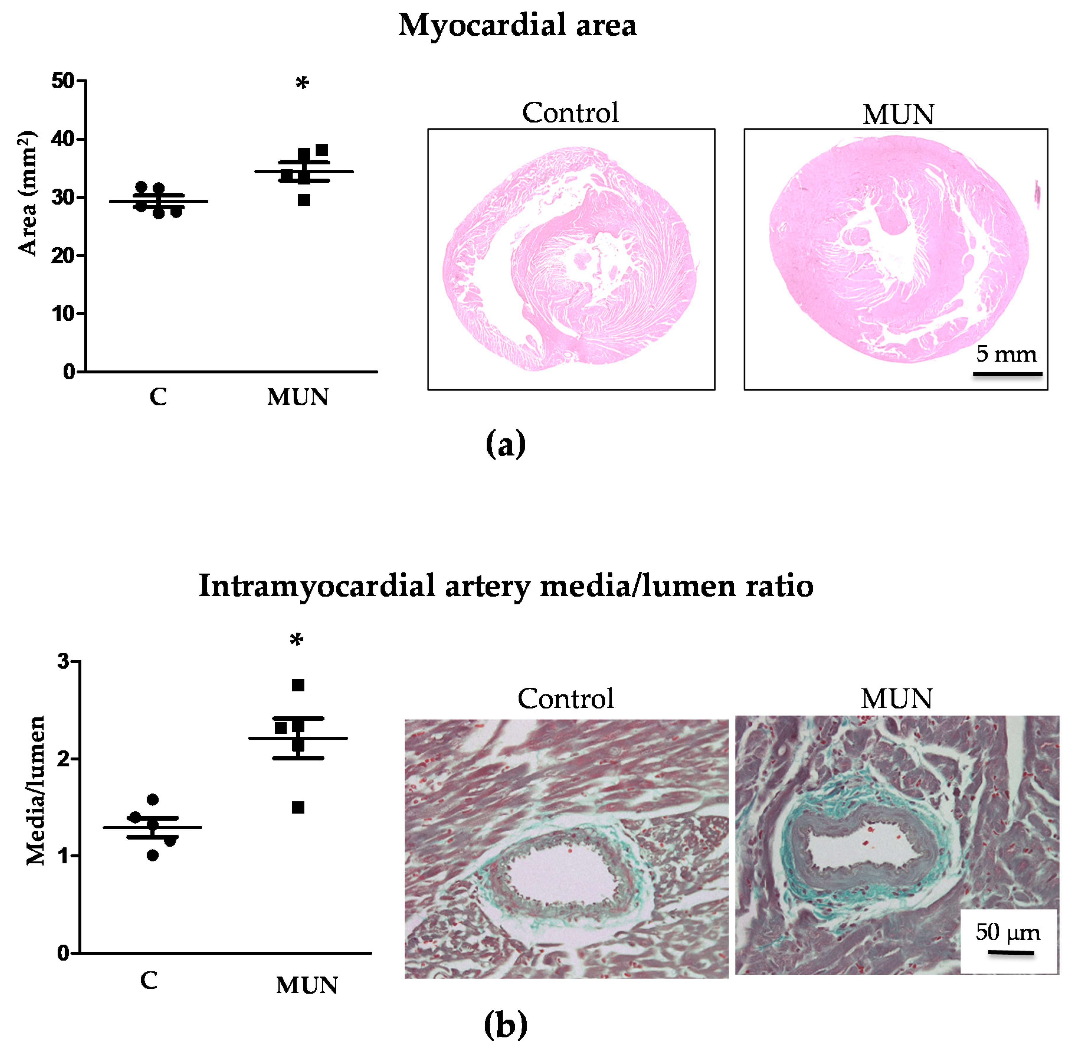 Pathophysiology 28 00018 g002