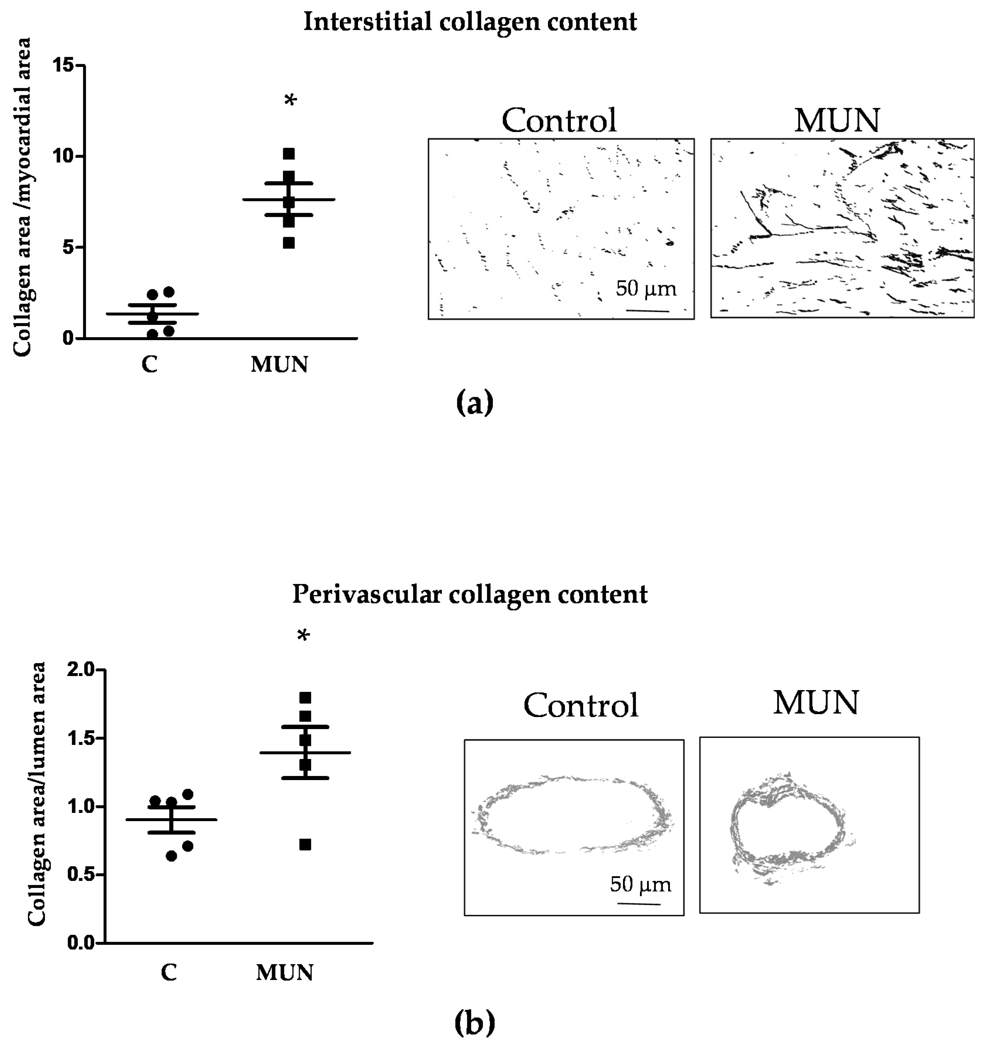 Pathophysiology 28 00018 g003