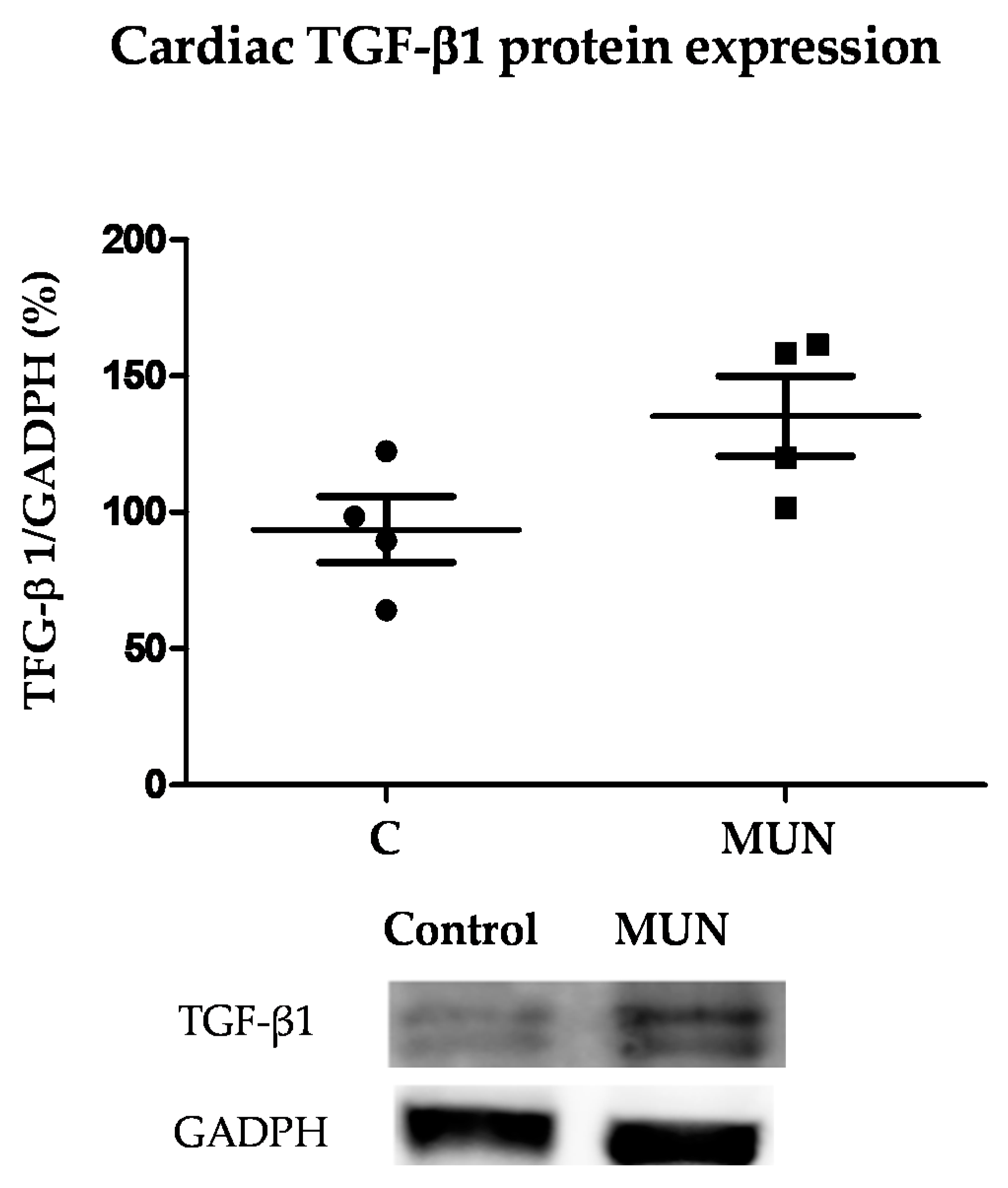 Pathophysiology 28 00018 g006