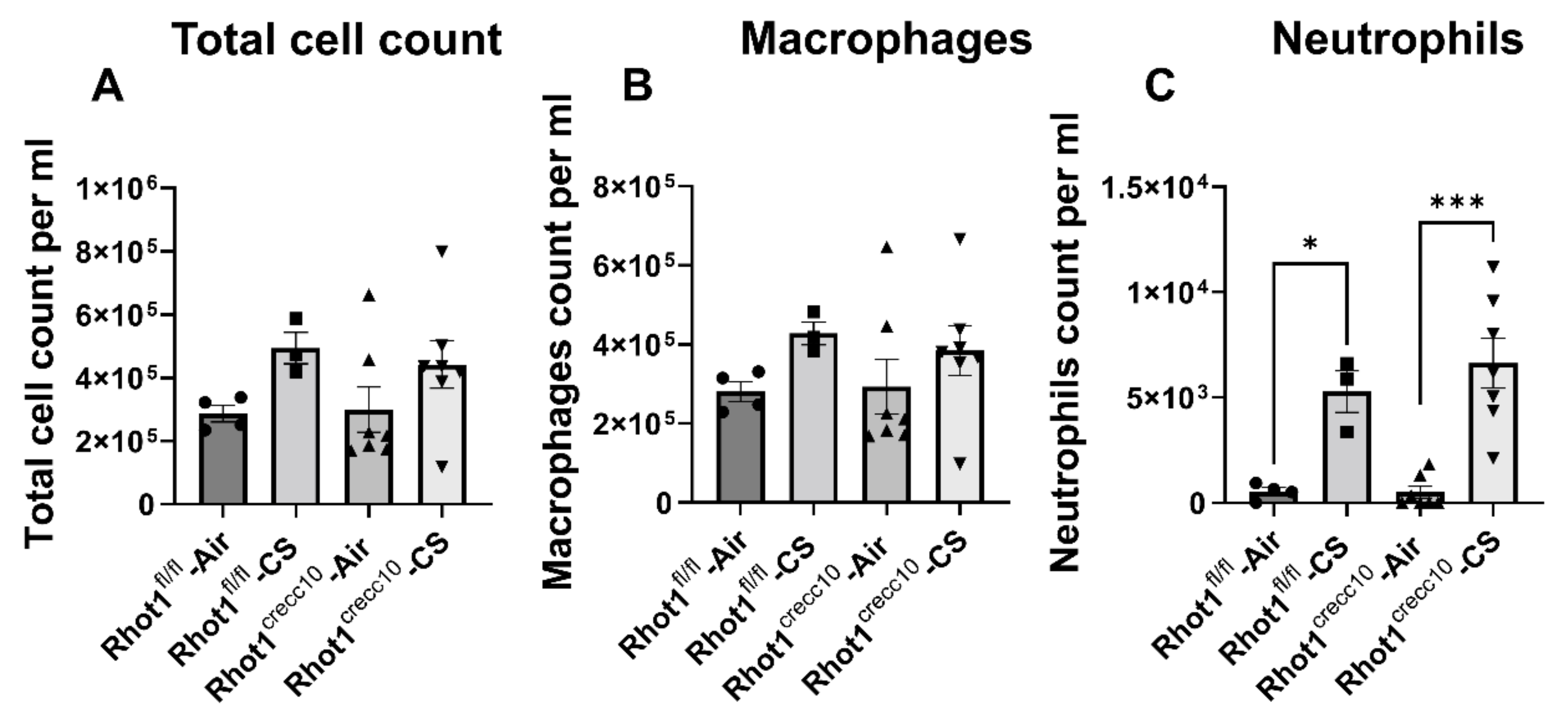 Pathophysiology 28 00033 g003