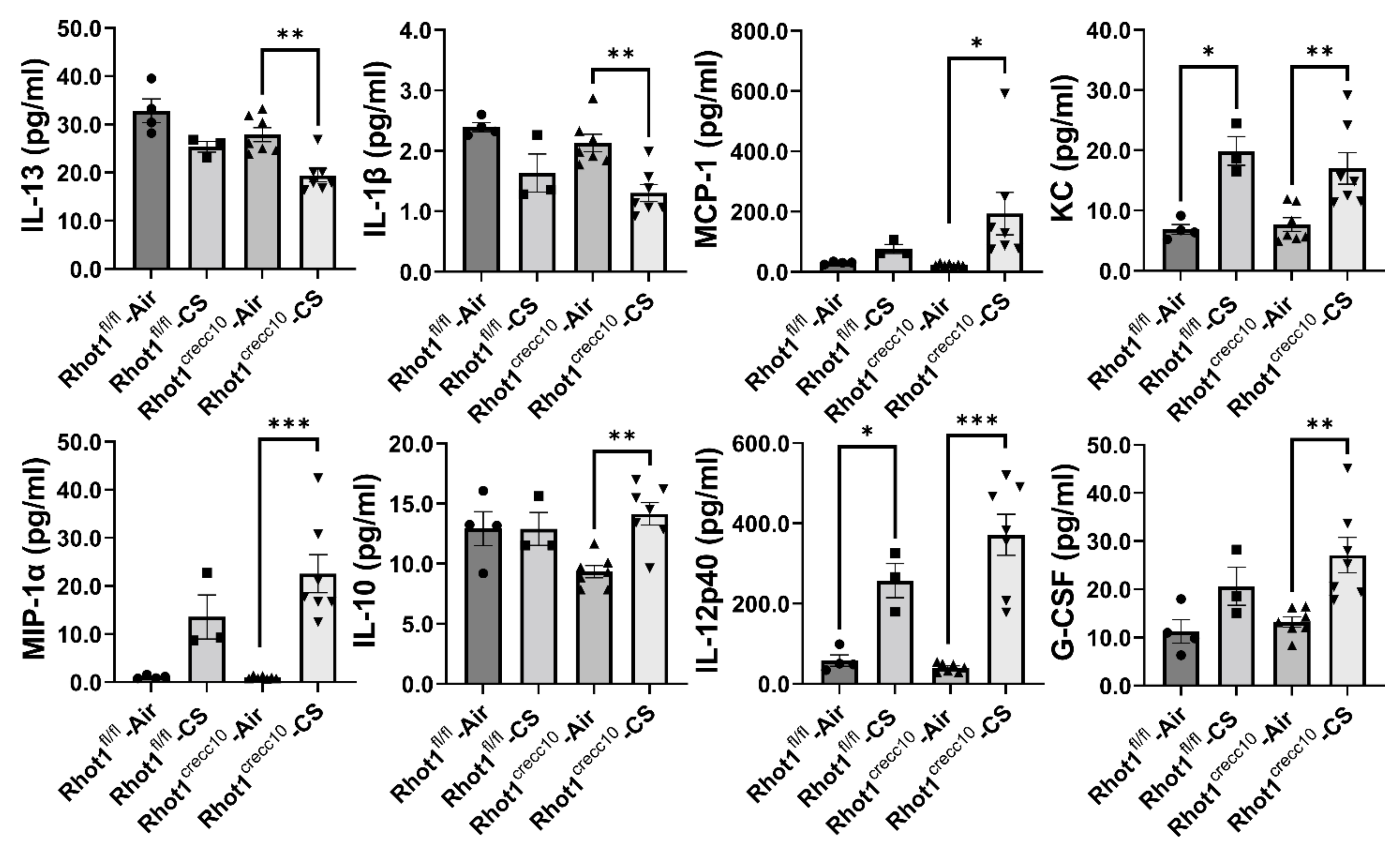 Pathophysiology 28 00033 g004