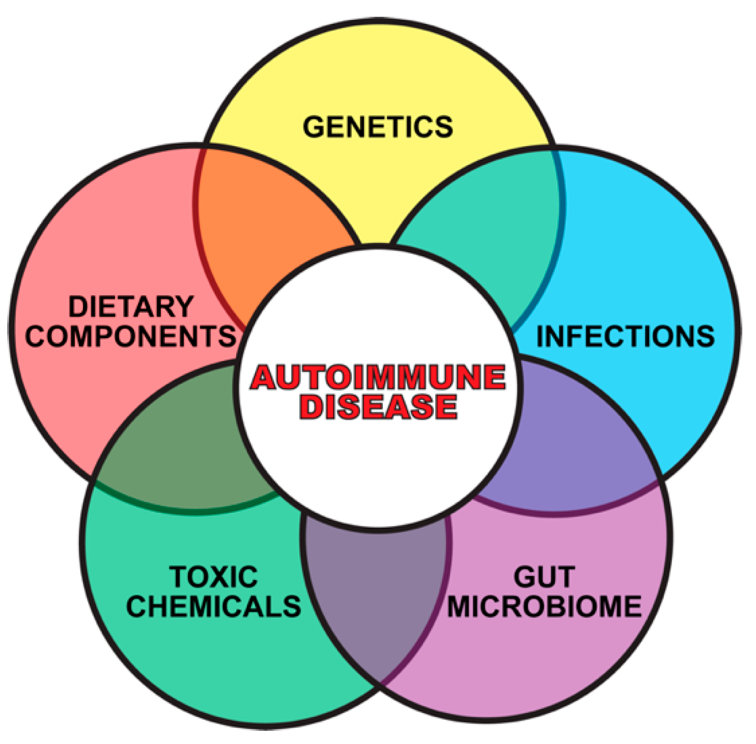 Pathophysiology 28 00034 g002 Pathophysiology 28 00034 g002