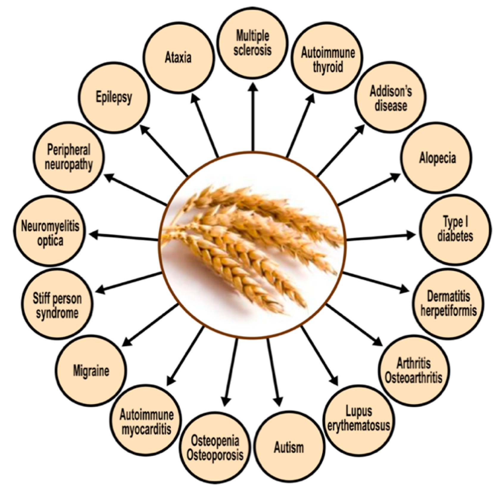 Pathophysiology 28 00034 g011 Pathophysiology 28 00034 g011