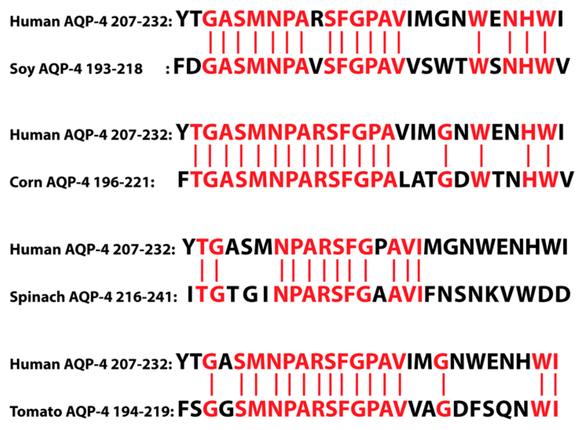 Pathophysiology 28 00034 g015 Pathophysiology 28 00034 g015