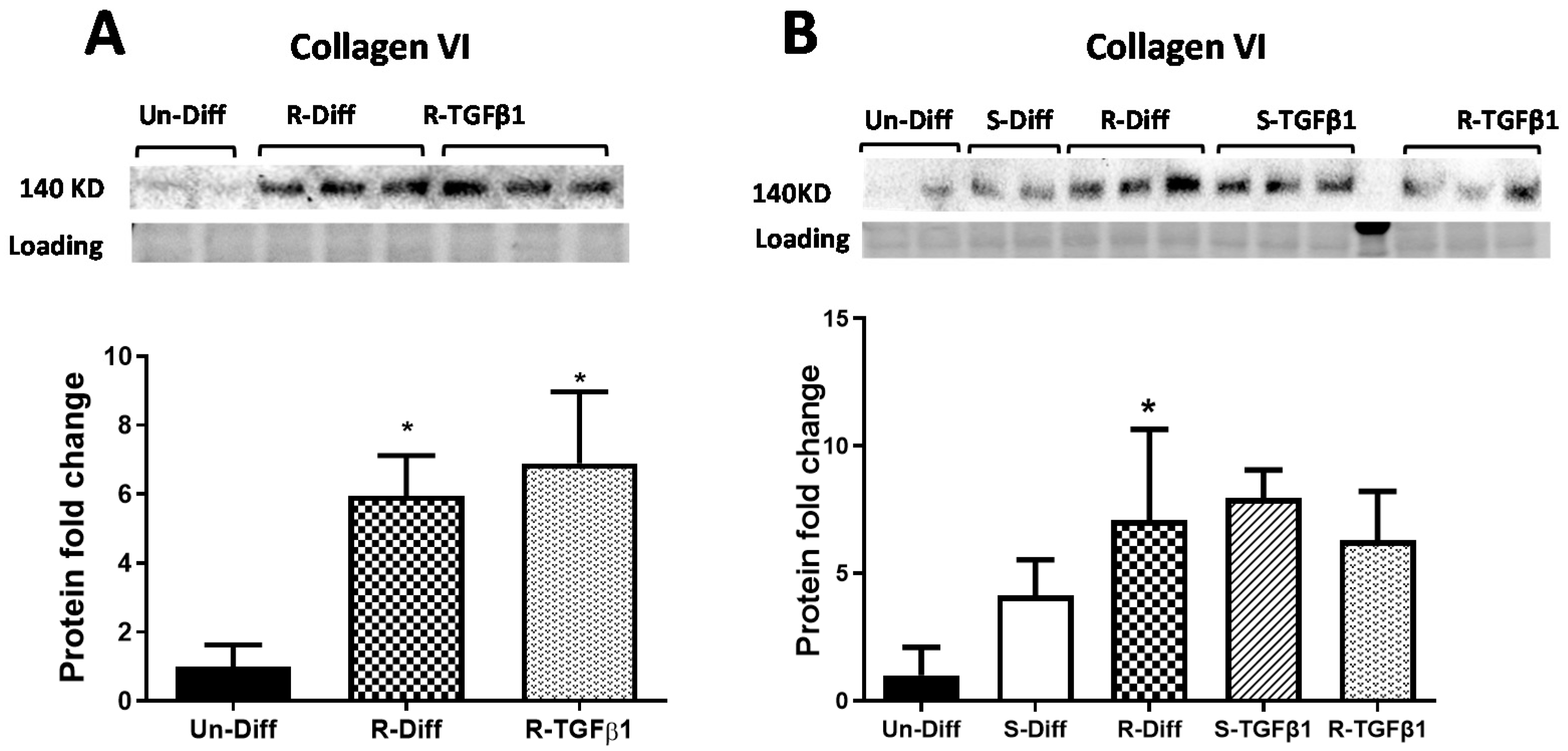 Pathophysiology 29 00050 g004 Pathophysiology 29 00050 g004